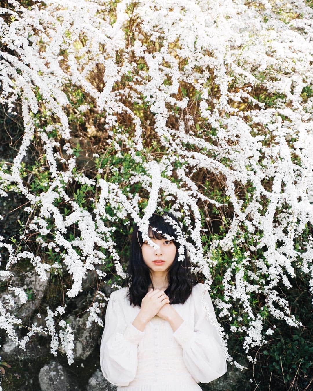 GENTAのインスタグラム：「#ユキヤナギ My original Lightroom presets were released at @curbonjp . Please check the URL on my profile for detail. ㅤ 僕のオリジナルLightroomプリセットが @curbonjp から発売中です。配信されているプリセットは僕が実際に写真編集で利用しているものです。プリセットの詳細はプロフィールのURLからご確認ください。」