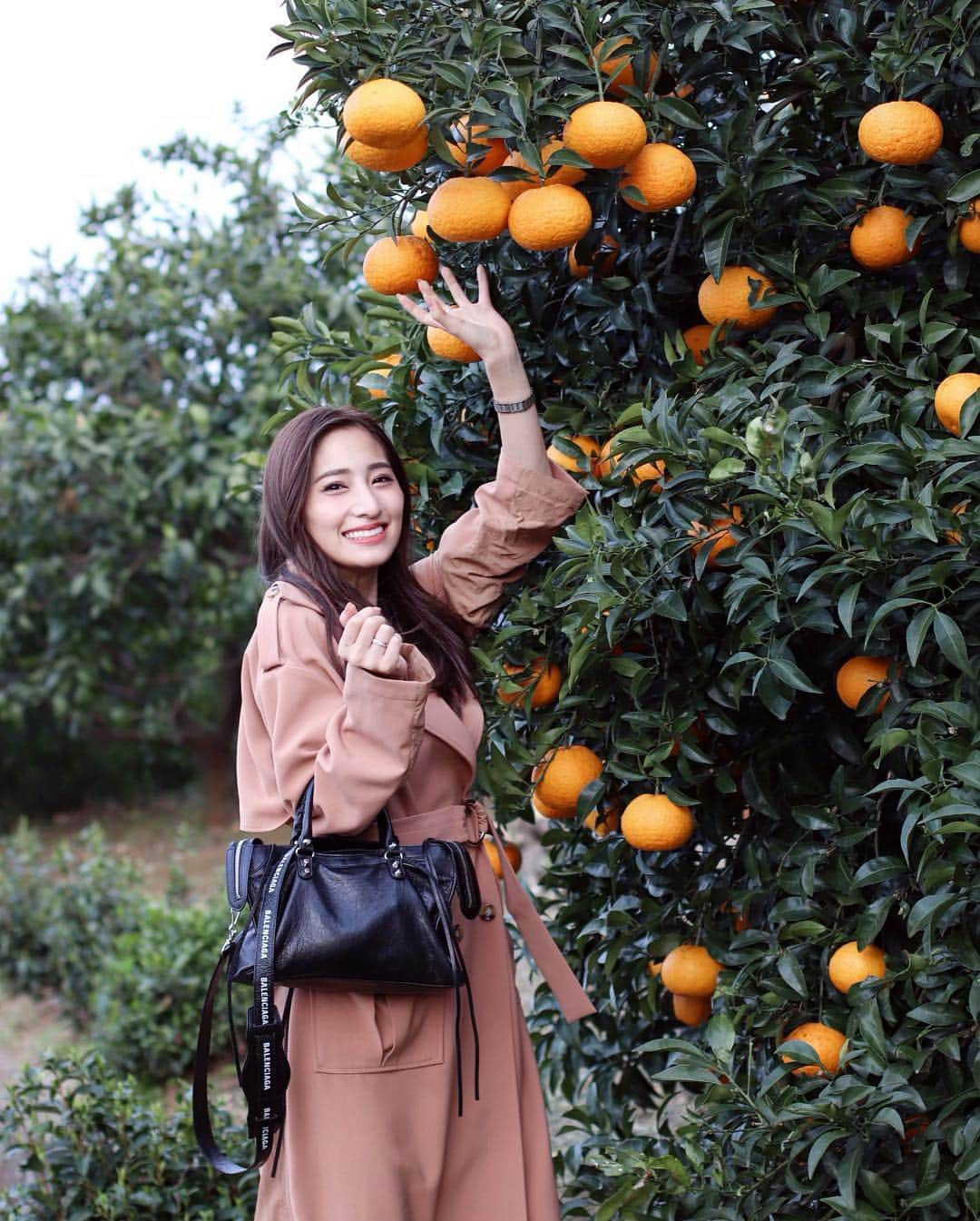 雨宮みずきさんのインスタグラム写真 - (雨宮みずきInstagram)「． 楽しすぎた🙈🍊🍊 ． #石垣山 #桜 #cherryblossom #小田原 #みかん狩り #湘南ゴールド #オレンジ #楽しそう #満面」3月28日 19時59分 - ammymzk0926