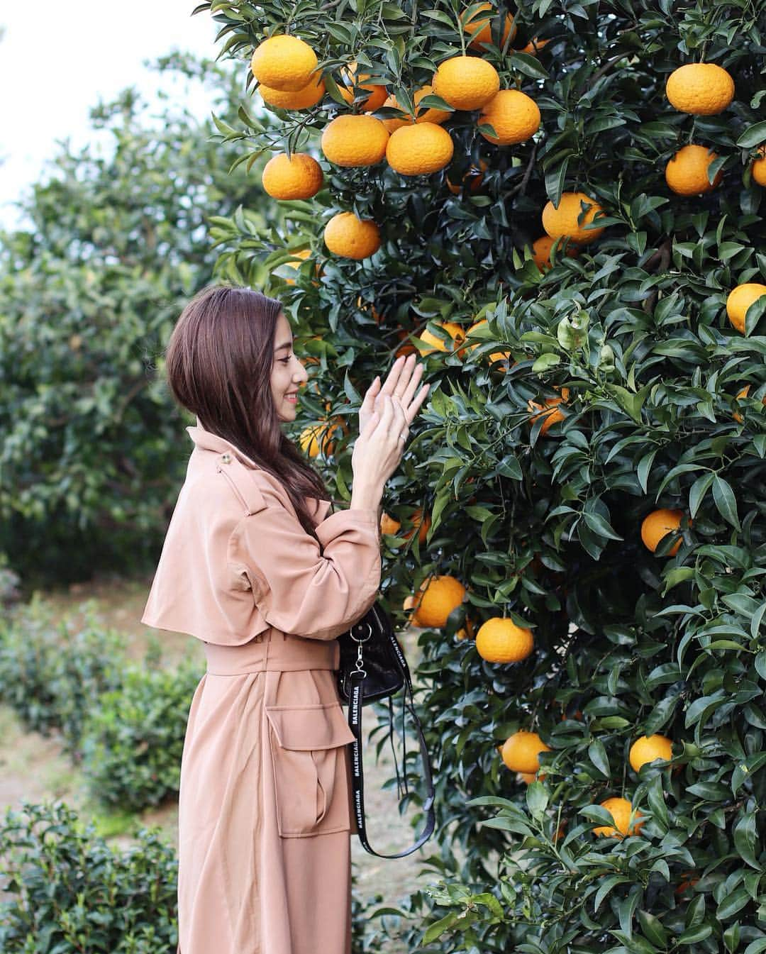 雨宮みずきさんのインスタグラム写真 - (雨宮みずきInstagram)「． 楽しすぎた🙈🍊🍊 ． #石垣山 #桜 #cherryblossom #小田原 #みかん狩り #湘南ゴールド #オレンジ #楽しそう #満面」3月28日 19時59分 - ammymzk0926