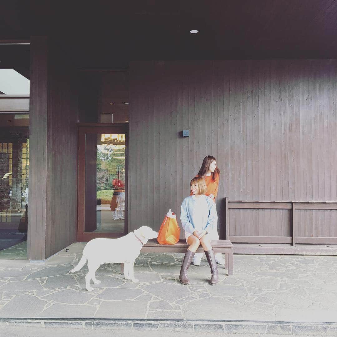 森下千里のインスタグラム：「隠し撮りされてた🙆‍♀️ . . #みーちゃん #mieko  #golf #golfcourses #lifestyle #dog」