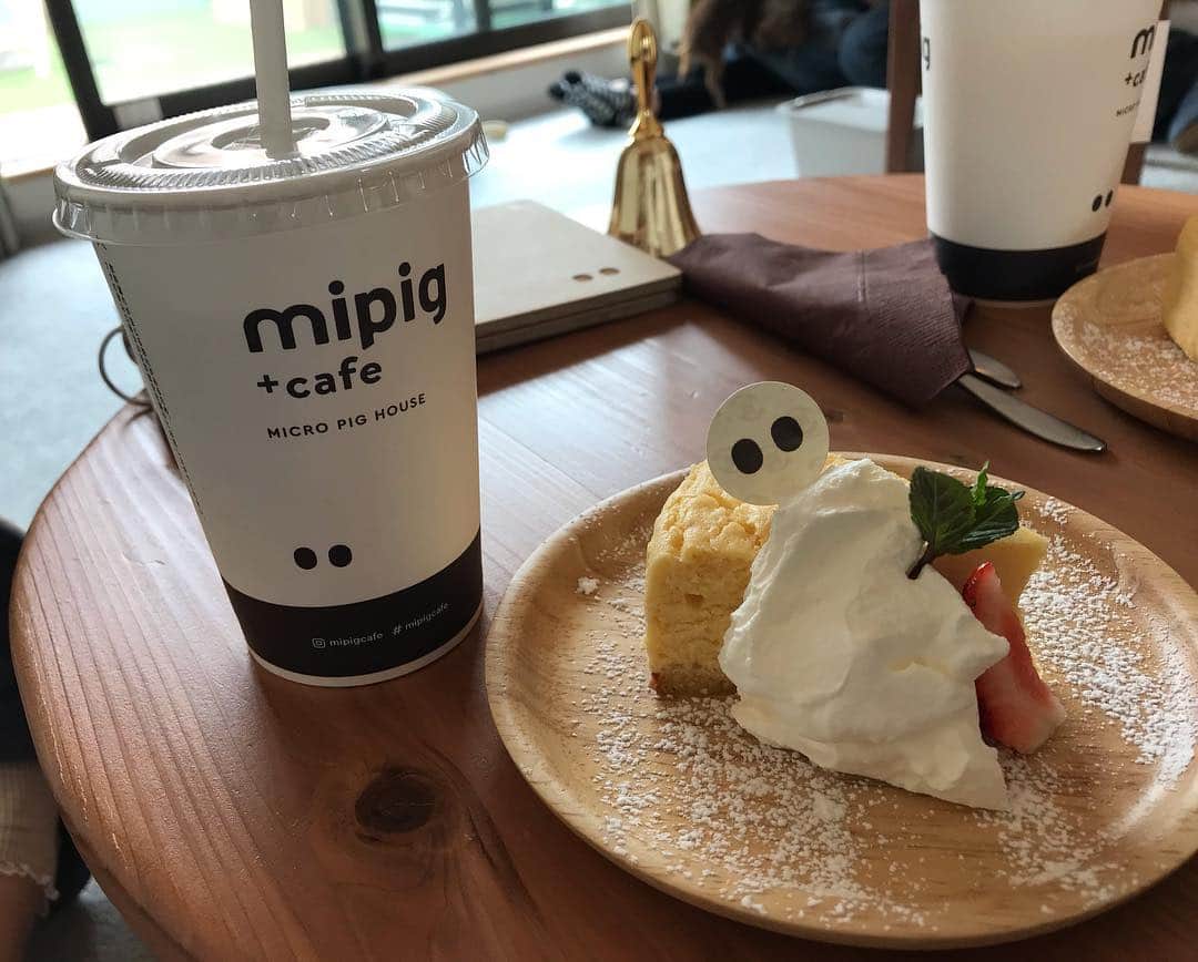 のインスタグラム：「マイクロブタちゃんたちと戯れて来ました。🐖🌟🌟ちっちゃくて可愛くて、姉妹でちょこちょこしてて癒された❣️名前は、小梅ちゃんとおかかちゃん🥰ゆったりとした空間で、マイクロブタちゃんたちをさわさわできるからおすすめです！  有名な、#長谷川稔 さんのチーズケーキも楽しめます😌 人気なので予約してから行くのがいいですよー🌟  #マイクロブタ #piglet #cafe #mipig #カフェ #cute #癒し #目黒 #meguro #可愛い」