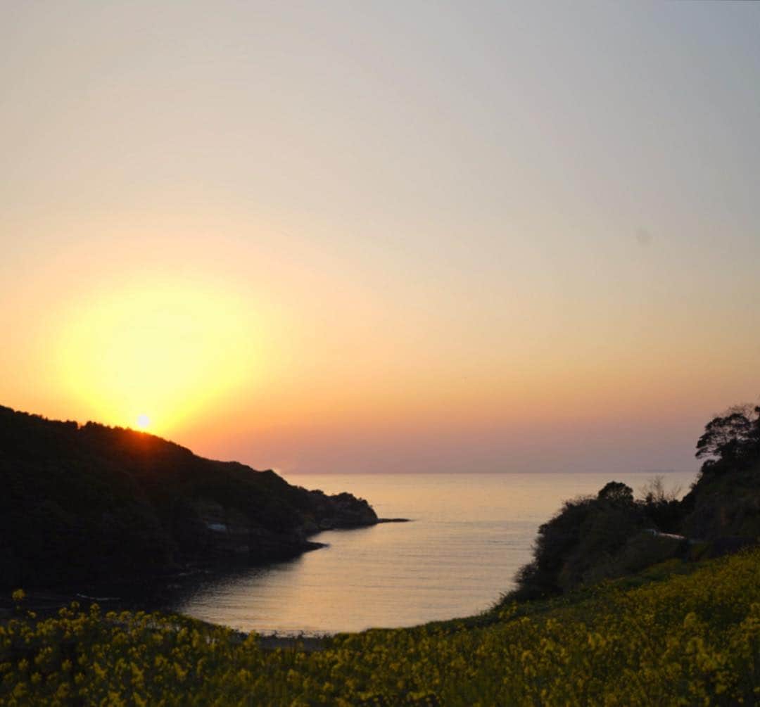 のインスタグラム：「The earliest way to be reborn is to live in the present moment wisely and earnestly.  #Kyushu #Fukuoka #ctytravelmap #日が暮れる #夕日 #Sunset」