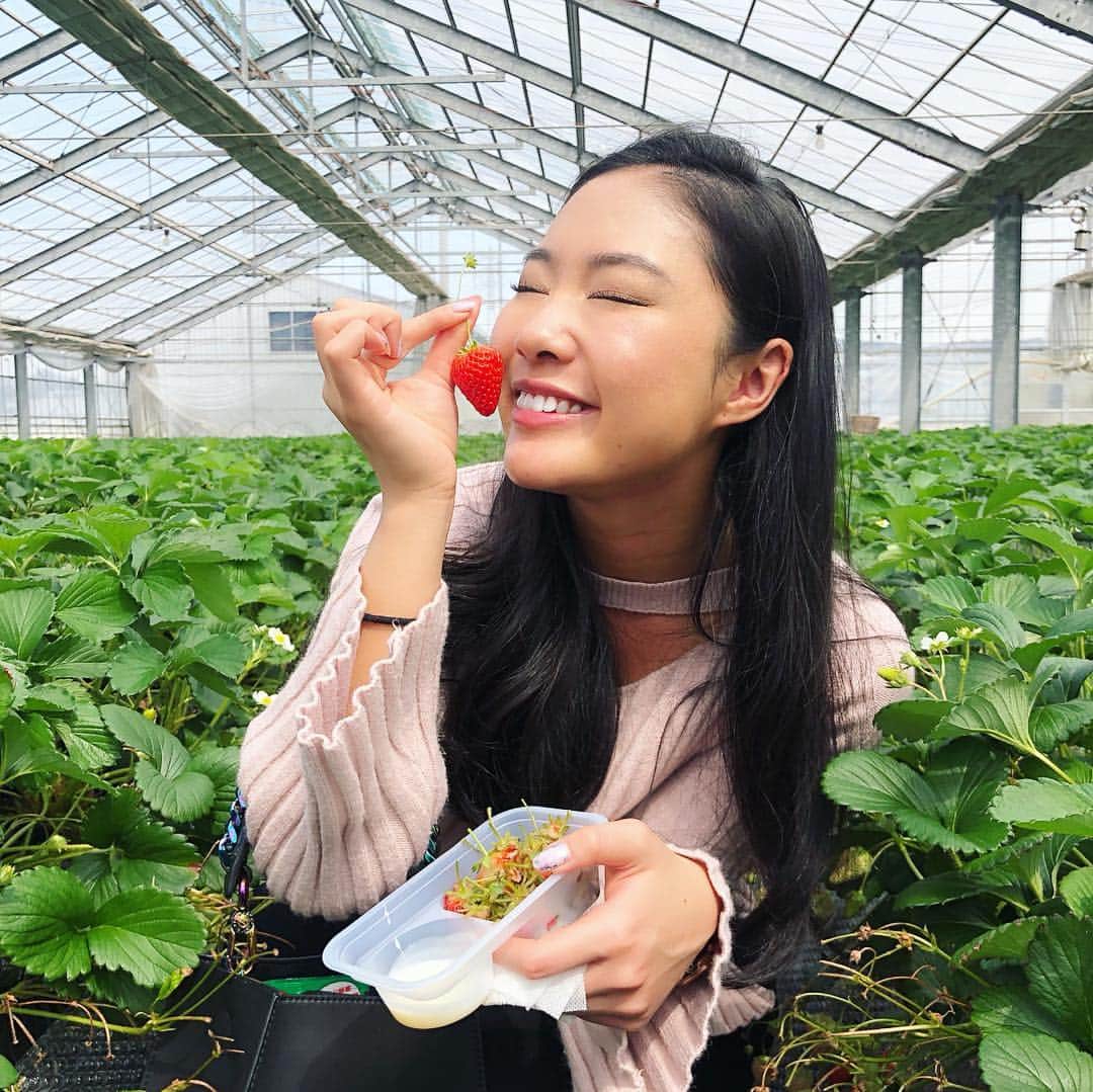 のインスタグラム：「ずっと楽しみにしてたいちご狩り🍓🍓✨ 甘くていい香りで美味しかった🤤😍❤️ いちごはフルーツの中でも4番目に好きだからたくさん食べられて幸せ🥰 シーズン終わる前にもう一度いきたいな！  今天去摘草莓🍓🍓✨ 好甜好香好好吃😋 草莓是我喜歡的水果第四名👑 吃了141個草莓我好幸福🥰🙏 季節完之前我還想再去一次❣️ . #いちご狩り #苺狩り #大好物 #フルーツ #いちご農園 #三浦 #神奈川 #ビタミン補給  #摘草莓 #草莓 #維他命c #水果 #日本美食 #愛吃 #愛吃健美小姐 #健身 #健美 #教練 #模特 #🍓 #strawberrypicking #strawberry #eatclean #healthyfood #vitaminc #japan」