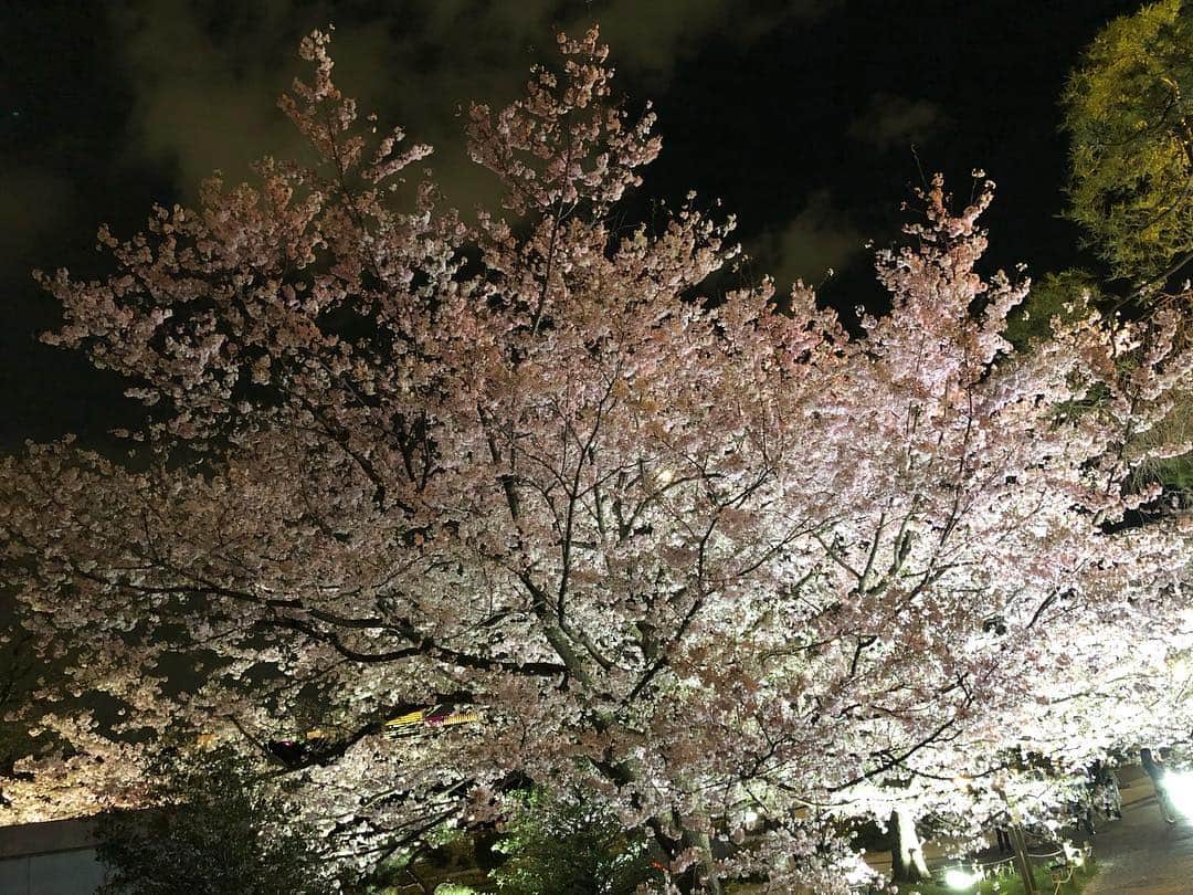ホリエアツシさんのインスタグラム写真 - (ホリエアツシInstagram)「大都会と夜桜🌸」3月28日 20時26分 - a.horie