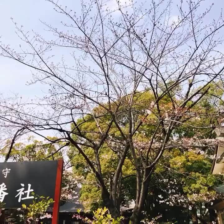 名古屋コミュニケーションアート専門学校_製菓調理のインスタグラム