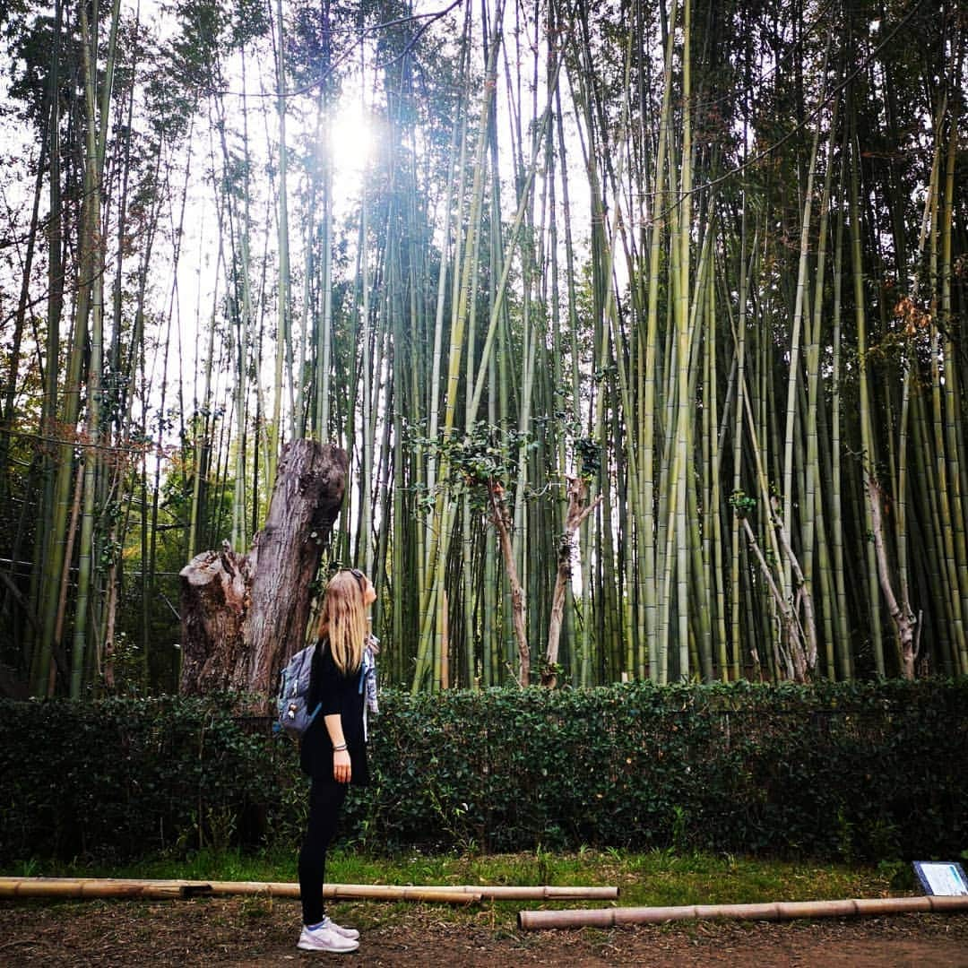 ダーシャ・ゲルムさんのインスタグラム写真 - (ダーシャ・ゲルムInstagram)「From shiny streets to majestic nature. Japan, you amaze me. 😍  #japan #travel #tokyo #kyoto #bambooforest #tokyocity #lights #nightlife #traveler #love #happy」3月28日 20時55分 - grmdas