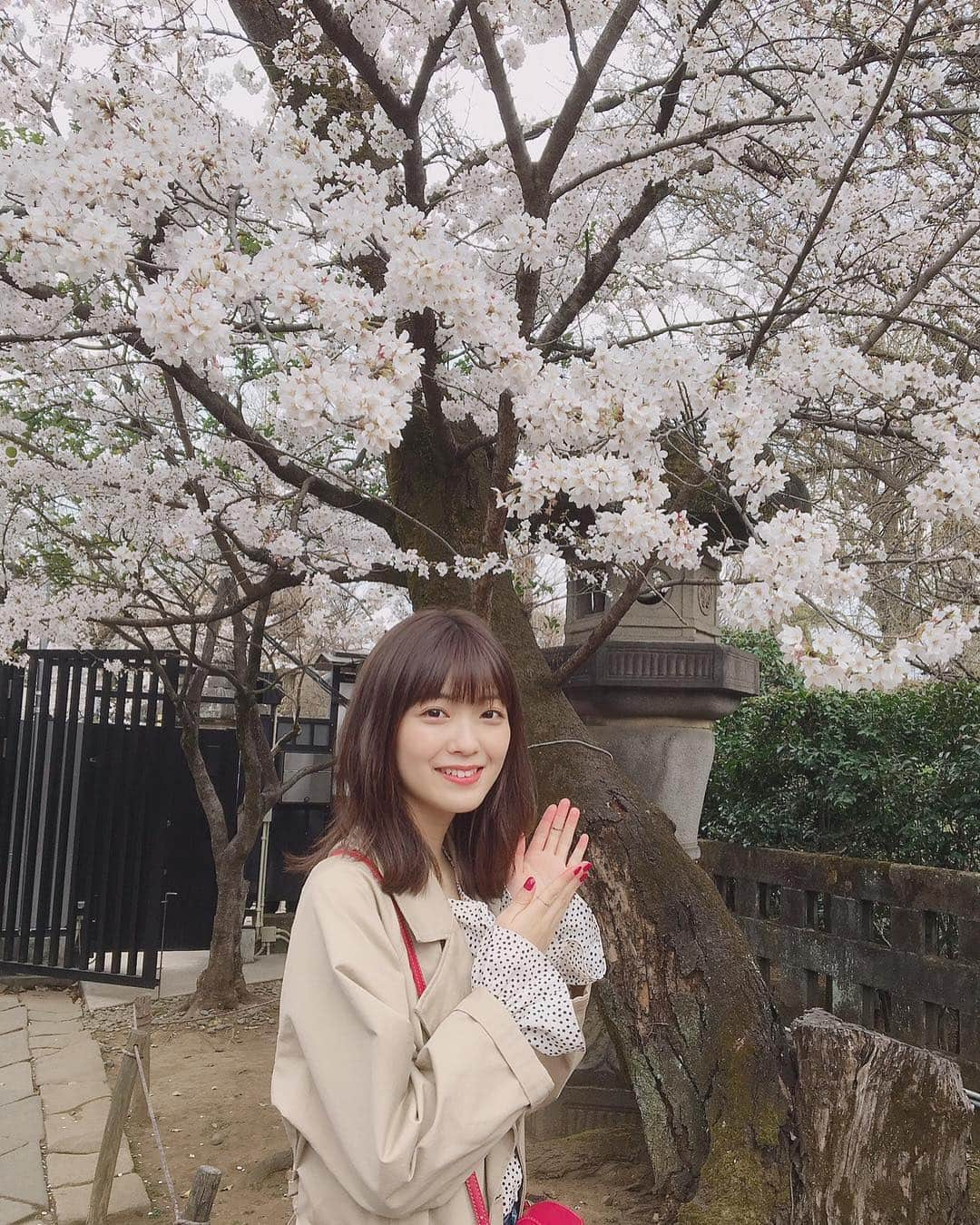 工藤美桜さんのインスタグラム写真 - (工藤美桜Instagram)「さくら🌸🌸 満開できれいだった〜！！！！ #さくら ⠀ #いつも手が変 ⠀ #どした ⠀」3月28日 21時13分 - mmio_kudo