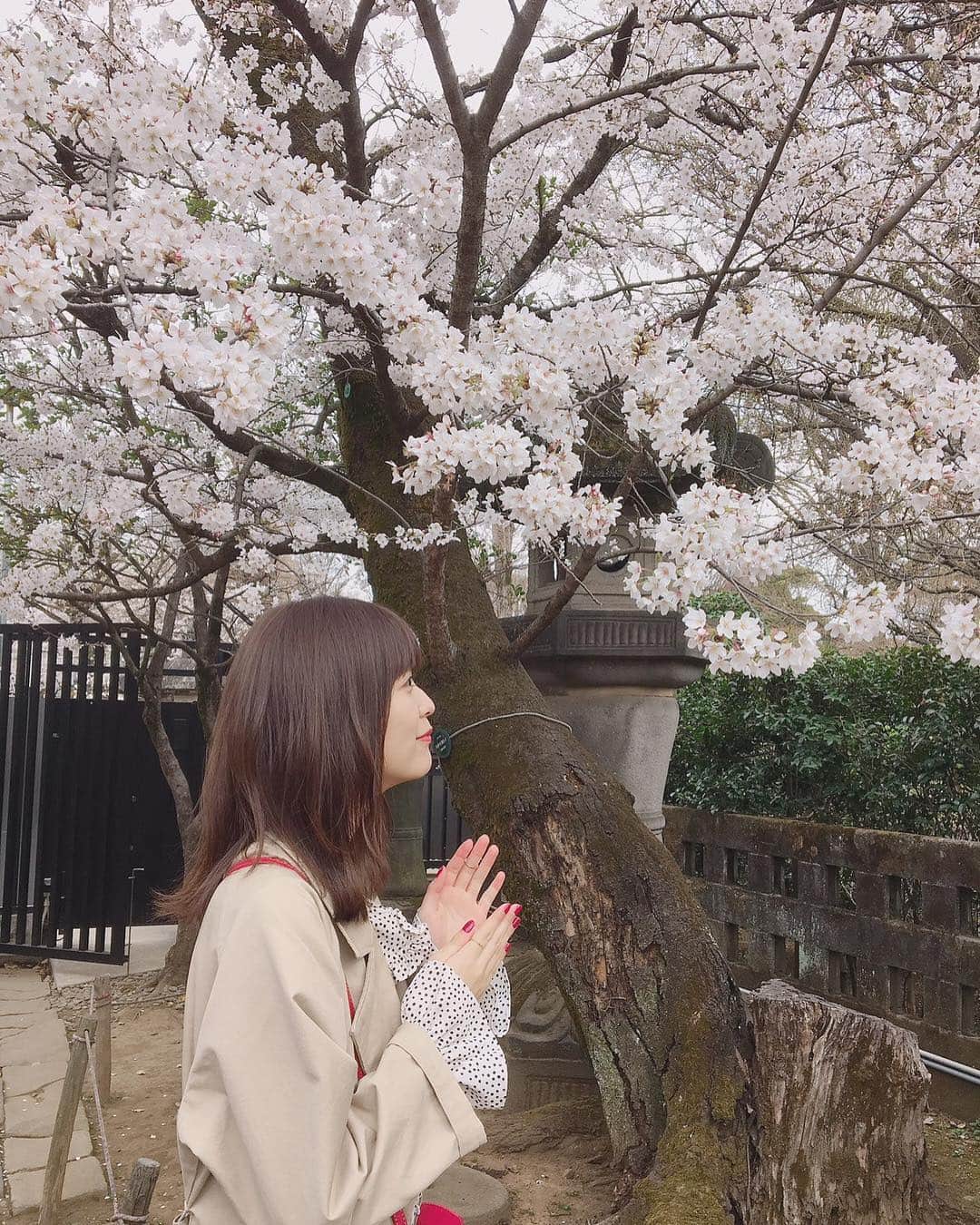 工藤美桜さんのインスタグラム写真 - (工藤美桜Instagram)「さくら🌸🌸 満開できれいだった〜！！！！ #さくら ⠀ #いつも手が変 ⠀ #どした ⠀」3月28日 21時13分 - mmio_kudo