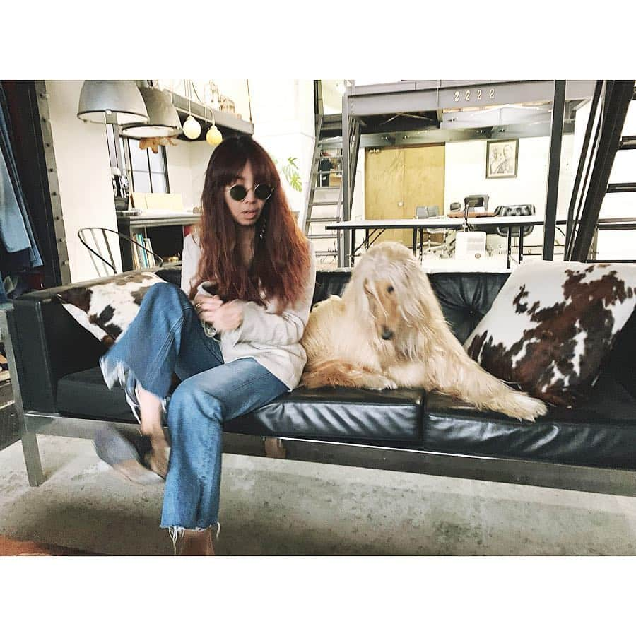 大田由香梨さんのインスタグラム写真 - (大田由香梨Instagram)「#Sleepingtokyo #aday  @creme_afganhound #love #Casafline #GUCCI」3月28日 21時16分 - otayukari