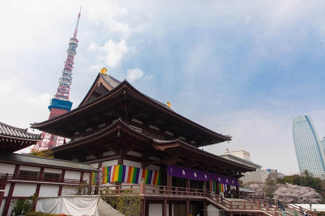 東京プリンスホテルさんのインスタグラム写真 - (東京プリンスホテルInstagram)「Zojoji Temple looks like a Tokyo Tower's guardian! ⠀⠀⠀⠀⠀⠀⠀ 私たちのお隣に佇む増上寺は、まるで東京タワーを守っているかのよう。 ⠀⠀⠀⠀⠀⠀⠀ Share your own images with us by tagging @tokyoprincehotel ————————————————————— #tokyotower #tokyoprincehotel #princehotels #tokyo #japan #beautifulhotels #tokyohotel #東京 #东京 #도쿄 #tokio #tokyoprince #tokyoview #tokyotower #tokyotemple」3月28日 21時20分 - tokyoprincehotel