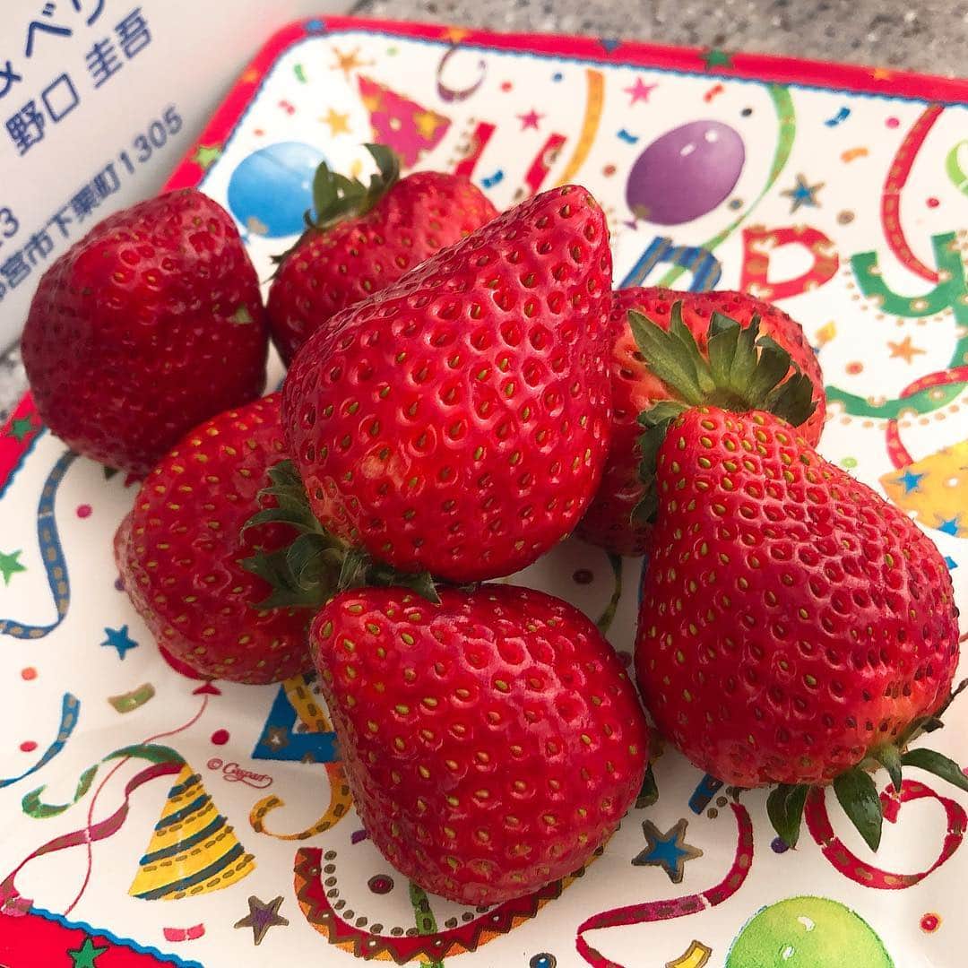 のインスタグラム：「とちおとめ「ハート&ベリー」 栃木が誇るブランドいちご🍓 ・ ・ 先日「美食の饗宴」で このいちごづくしのフレンチフルコースを頂きましたが、改めてフレッシュな状態を頂くとまたおいしさを再確認😊🍓🍓 甘く赤く香り良く美しい💓です ・ ・ 「とちおとめ」をフレッシュな状態で頂いたとあれば！😆 @yumiko_tochika  とっちー♪ こと遠近由美子ちゃんにお渡ししてお誕生日おめでとう〜🍓 →3枚めは、とっちーが綺麗にカットしてくれたもの🍓 ・ ・ ここのところ @azulyoko ちゃんのアイシングクッキーなど 手渡したいものもあったので、 双子ちゃん達とも楽しんできました♪ ・ ・ 大好きなものを大好きな人に食べてもらえるって嬉しい😊 ・ ・ #ハートベリー  #いちご#イチゴ#いちごスイーツ#苺#いちご🍓#🍓#里井真由美#1級フードアナリスト里井真由美#ホテルスイーツ#デパ地下スイーツ#フルーツ#さといいね」