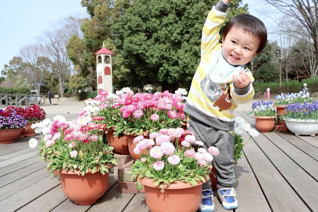 Miku Hirata 平田未来さんのインスタグラム写真 - (Miku Hirata 平田未来Instagram)「春のお花に夢中💓 長男3歳と、次男1歳8ヶ月になりました❣️ * #赤ちゃん時代 を味わう間もなく、 成長してしまい🧒👶 次男も2歳が手に届きそう😭 * 2人とも毎日元気でまだ手がかかるけど、 長男の幼稚園入園でまた生活が変わるかな❣️ * * チューリップ鑑賞を初めてした記念に🌷幼児のみものでカンパーイ🍎 次男はとてもはりきってポーズをたくさんとってくれました💓 * 果汁100%で無香料だから、はじめてのジュースにはこれがいい💓 香料も使用していなくて、飲みやすそう☺️💓2人で仲良く、ごくごくペロリと飲んでました😋💓 * 活発でイタズラ好きな長男と ママっ子でいつまでも赤ちゃんに見える次男☺️💓 またたくさんお出かけしたいな❣️ * *  #Glico_PR #幼児のみもの #はじめてにカンパイ #1歳8ヵ月 #3歳男の子 #年子男の子 #年子兄弟 #お揃いコーディネート #兄弟コーデ #男の子コーディネート #キッズコーデ男の子 #3歳コーデ #1歳コーデ #幼稚園児おやつ #おやつの時間に #公園でお散歩 #りんごジュース🍎 #好きな飲み物 #男の子ママあるある #男の子兄弟ママ #年子ママと繋がりたい #子育てママ応援  #キッズモデル #いいね返し #いいねした人全員フォローする」3月28日 21時36分 - miku.hirata