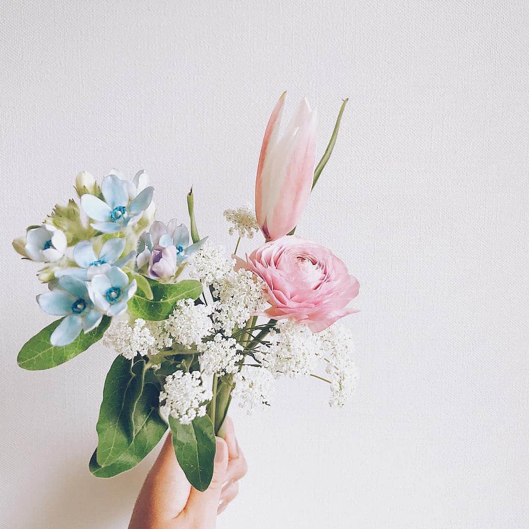 Bloomee LIFEさんのインスタグラム写真 - (Bloomee LIFEInstagram)「・ 今回はどんなお花だろうという楽しみと、 普段自分ではアレンジできないお花が届くところも わくわくします☺️ ・ Special Thanks Photo by @chibisoh @alenhitujinori @azu.ismart ・ Bloomee LIFEでは、 プロのお花屋さんが選んだ 季節のお花がランダムに届きます。 ・ 知らないお花との出会いや 普段とは違うアレンジに ワクワクしちゃいます！ ・ ・  #bloomeelife#ブルーミーライフ#花のある生活#花好きな人と繋がりたい#おうち時間#花部#花写真#花が好き#花を飾る#暮らしを楽しむ#日々の暮らし#丁寧な暮らし#日々#お花のある暮らし#ナチュラル#素敵な休日#暮らしを整える#くらしのきほん#日々の暮らしを楽しむ#丁寧に暮らす#フラワーベース#北欧#インテリア#flower#フラワーアレンジ#フラワーベース#北欧インテリア」3月28日 21時29分 - bloomee