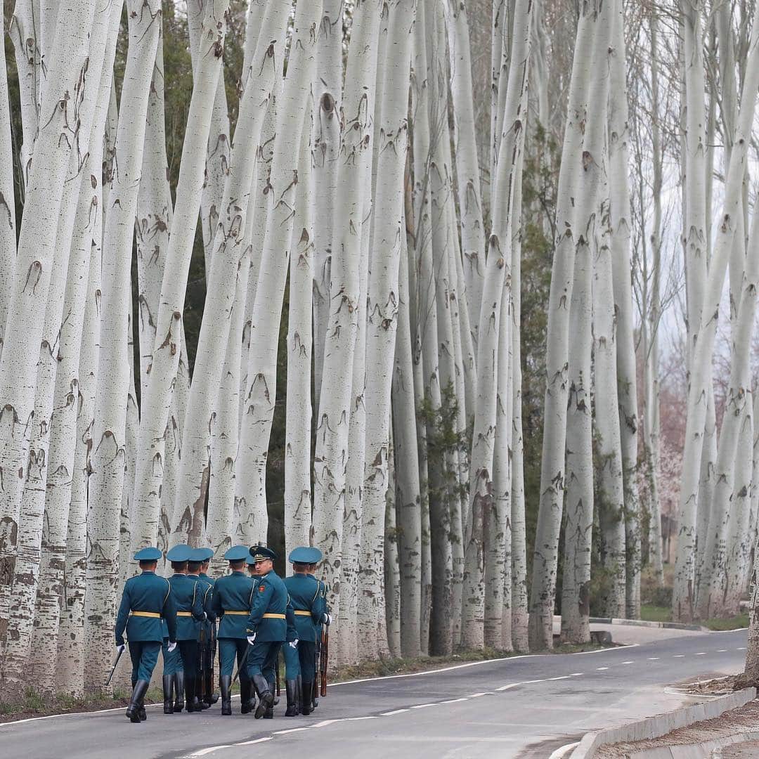 NBC Newsさんのインスタグラム写真 - (NBC NewsInstagram)「Kyrgyz guards honor walk after a welcoming ceremony held by Sooronbay Jeenbekov of #Kyrgyzstan for Russian President #Putin. . 📷 Maxim Shemetov / @reuters」3月28日 22時02分 - nbcnews