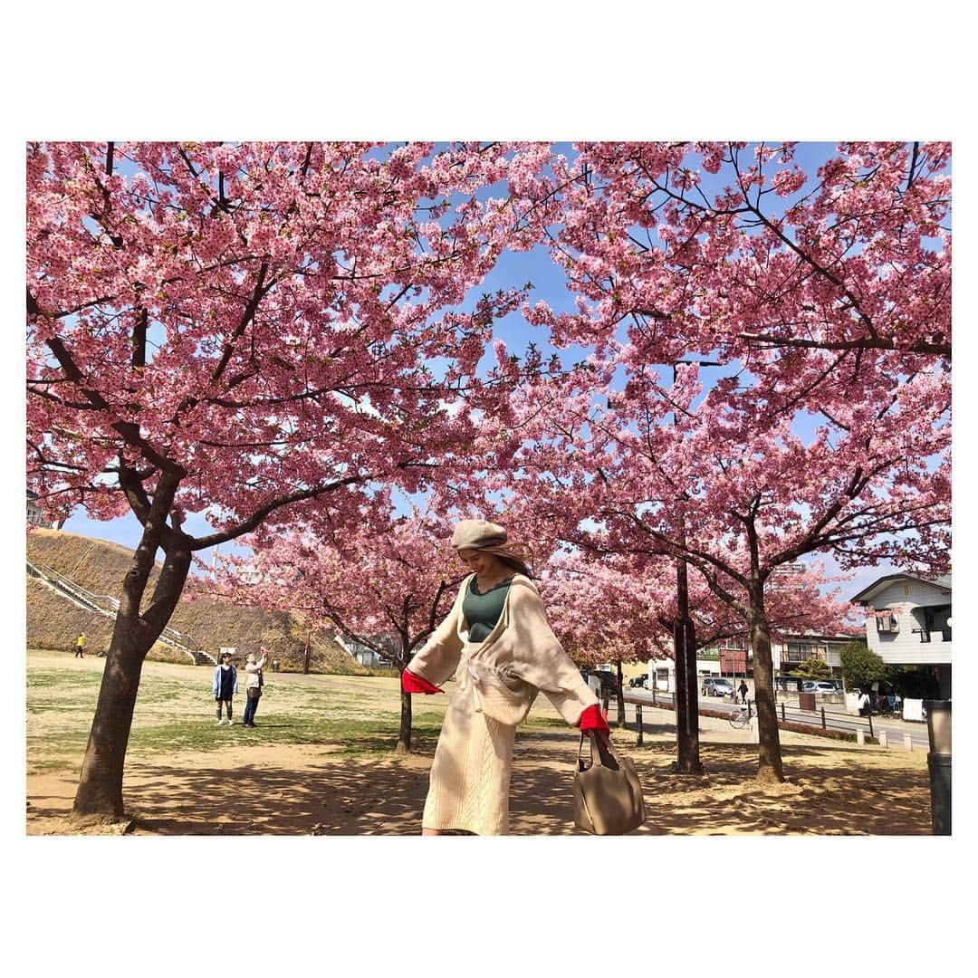 高橋和美のインスタグラム：「. 桜探しの旅🌸 #桜#河津桜#枝垂桜#宇都宮城址公園#権現堂公園#権現堂桜堤#栃木#埼玉」