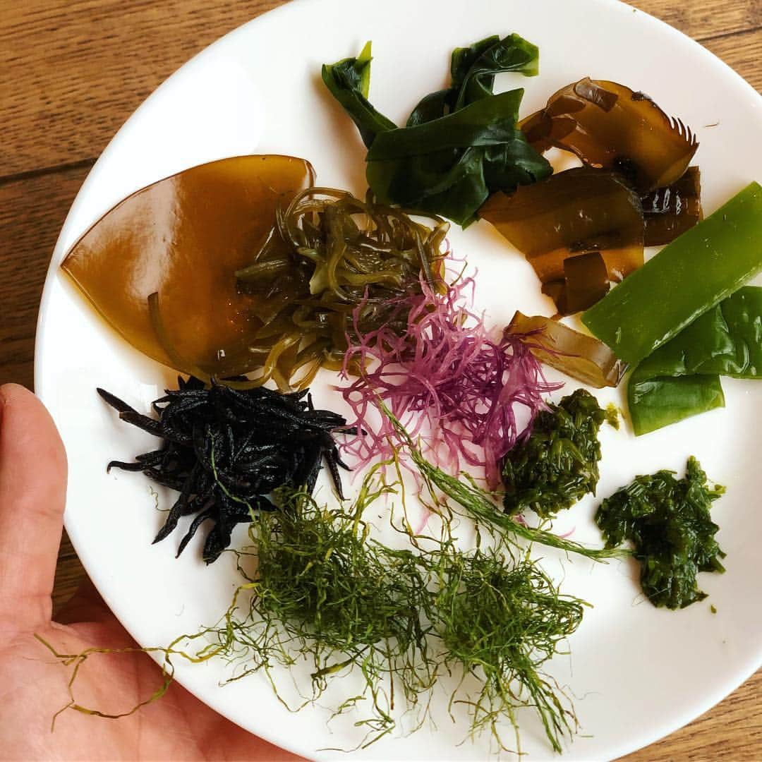 ヤミーさんのインスタグラム写真 - (ヤミーInstagram)「海藻って美しいな〜。 鳥羽海藻食べ比べ @kurauma くらうま。 丸ごとのめかぶとケノリにノックアウト。 ケノリに無限の可能性を感じる！ 普通に買えるようになってほしい。 わかめってこんな味香りだったのね〜と再発見もありました #食べ比べ部 #鳥羽市 #海藻のお勉強」3月28日 22時18分 - ym_3stepcooking