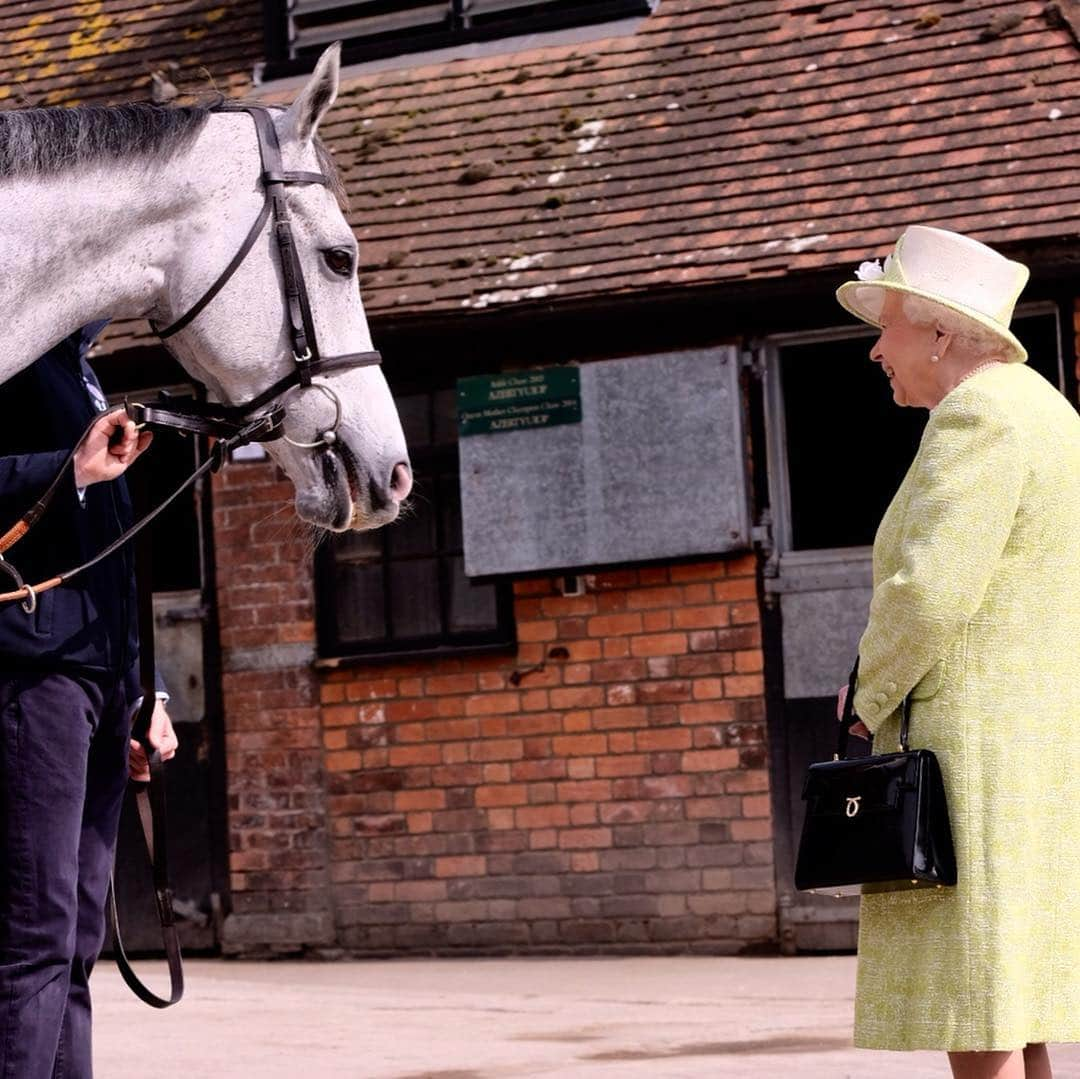 ロイヤル・ファミリーさんのインスタグラム写真 - (ロイヤル・ファミリーInstagram)「The Queen visits Manor Farm Stables in Ditcheat #RoyalVisitSomerset  At the Stables, Her Majesty met trainer Paul Nicholls, before visiting the yard to view and feed the horses on parade.  The Queen also heard from representatives from The University of Bath working on research projects on equestrian sport spinal injuries and racehorse welfare.」3月28日 22時28分 - theroyalfamily