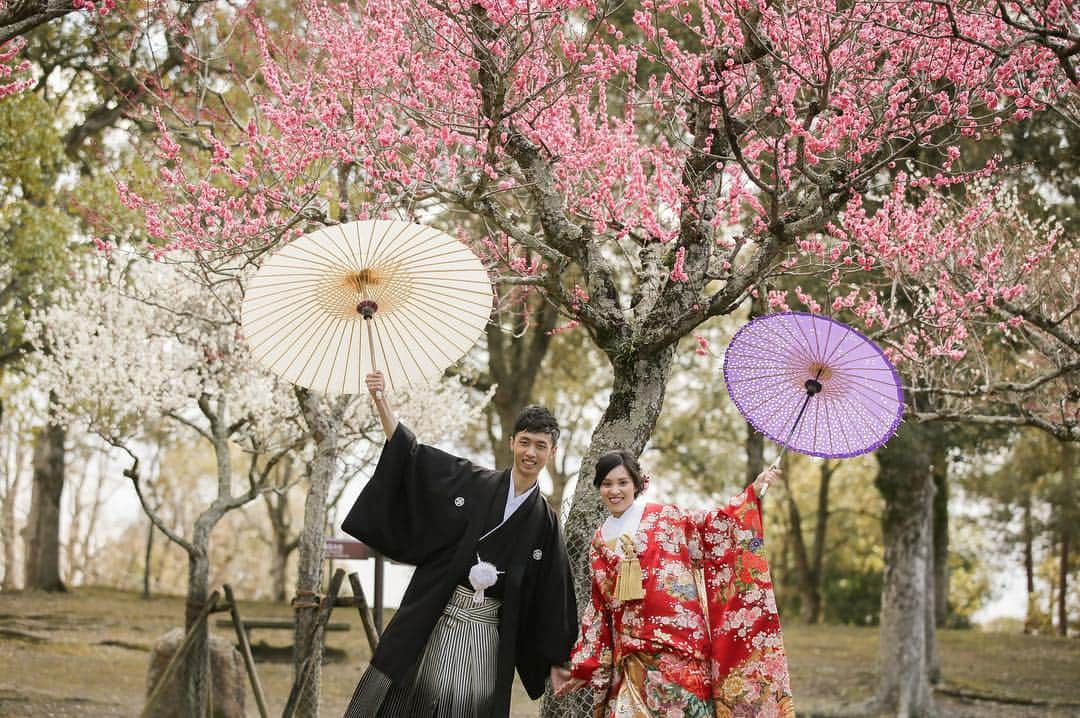 studioTVB NARAさんのインスタグラム写真 - (studioTVB NARAInstagram)「片岡梅林ロケーション #前撮り  #結婚式準備  #花嫁  #プレ花嫁  #卒花嫁  #ヘアメイク  #ヘアアレンジ  #ヘアスタイル  #色打掛  #ドレス試着  #weddingphotographer  #weddingphotography  #bridalphoto  #결혼  #portrait  #IGersjp  #team_jp_  #bestjapanpics  #icu_japan  #wu_japan  #ig_photooftheday  #日本中のプレ花嫁さんと繋がりたい  #cherish_photo_days  #チェリフォト #lovers_nippon_portrait  #marry花嫁  #奈良花嫁  #d_weddingphoto #スタジオTVB奈良」3月28日 22時26分 - studiotvb_nara