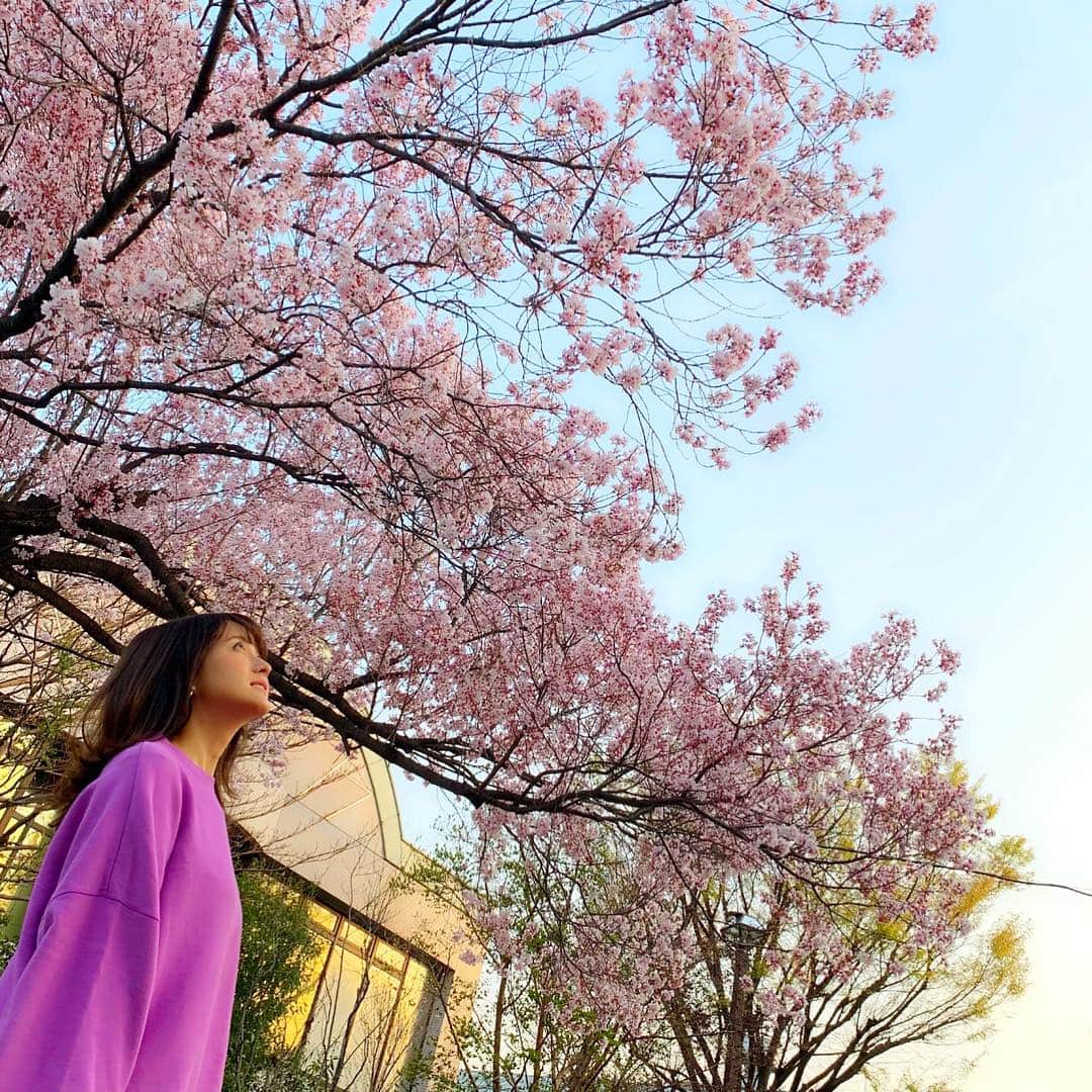 小松彩夏さんのインスタグラム写真 - (小松彩夏Instagram)「﻿ 仕事の合間に少しだけお花見出来ました♡﻿ ﻿ 最近は環境が変わるタイミングだったりで、バタバタな日々だけどこういう時間も大切にしたいですね♡﻿ ﻿ みんなはお花見したかな？♪﻿ ﻿ #つかの間の #お花見 #花見 #桜 #日本 #癒しの時間 ﻿ ﻿」3月28日 22時27分 - official_ayaka_502
