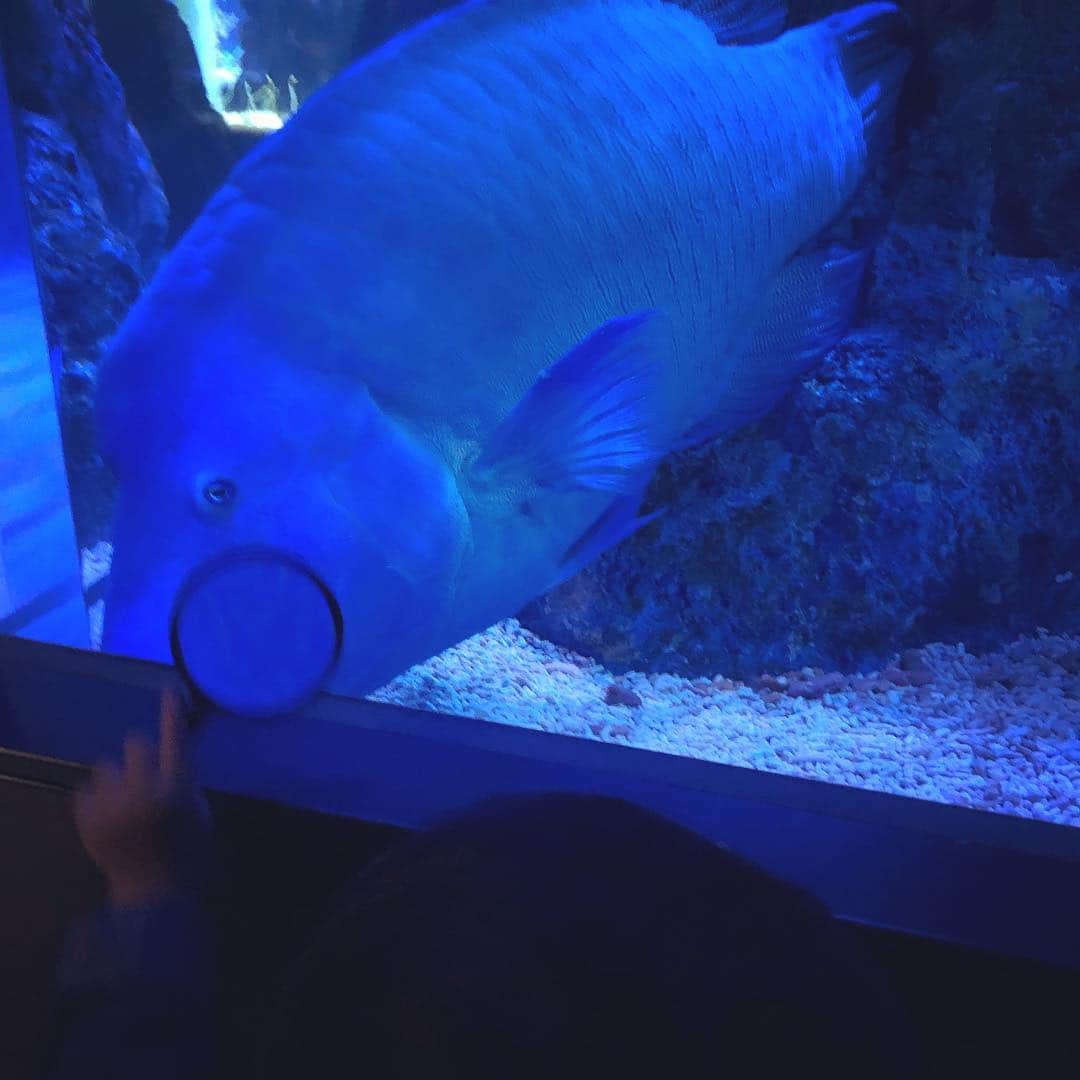 神尾佑さんのインスタグラム写真 - (神尾佑Instagram)「水族館でルーペを持ち歩く息子。」3月28日 22時30分 - yu_kamio