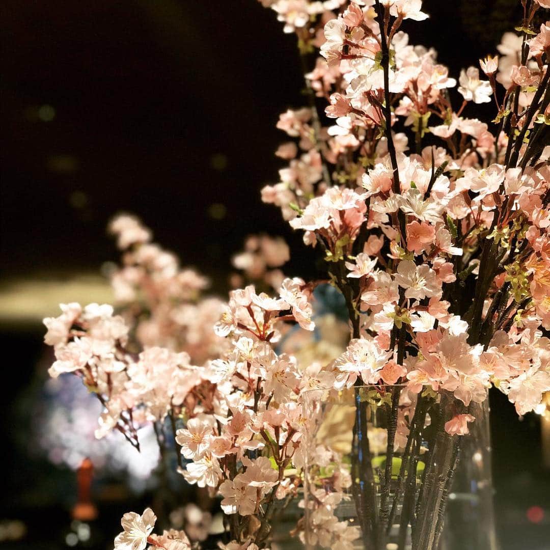 のインスタグラム：「#gardenlounge の夜桜 #cherryblossom  #桜 #sakura #ホテルニューオータニ @hotelnewotanitokyo #preferredhotels #ガーデンラウンジ #紀尾井町」