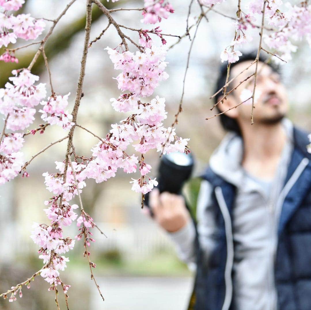 japanese forest & web designer　kapiosanのインスタグラム