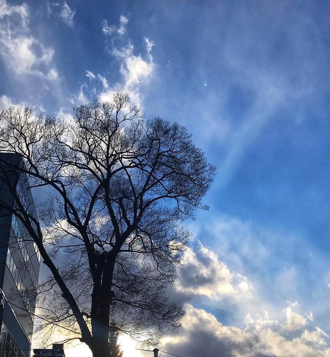 福原美穂さんのインスタグラム写真 - (福原美穂Instagram)「空はいつもありのまま  ふと見上げた札幌の空は  10年前とは違う色だった  今日もありのままそこに在った  神聖さが生きたまま  この美しい空の下で育ったんだ  美味しい空気を吸いながら  いまはこの空気をほんとうに味わえるわたしである  #sapporo #myhometown #sky #ありのまま」3月28日 22時43分 - miho_fukuhara