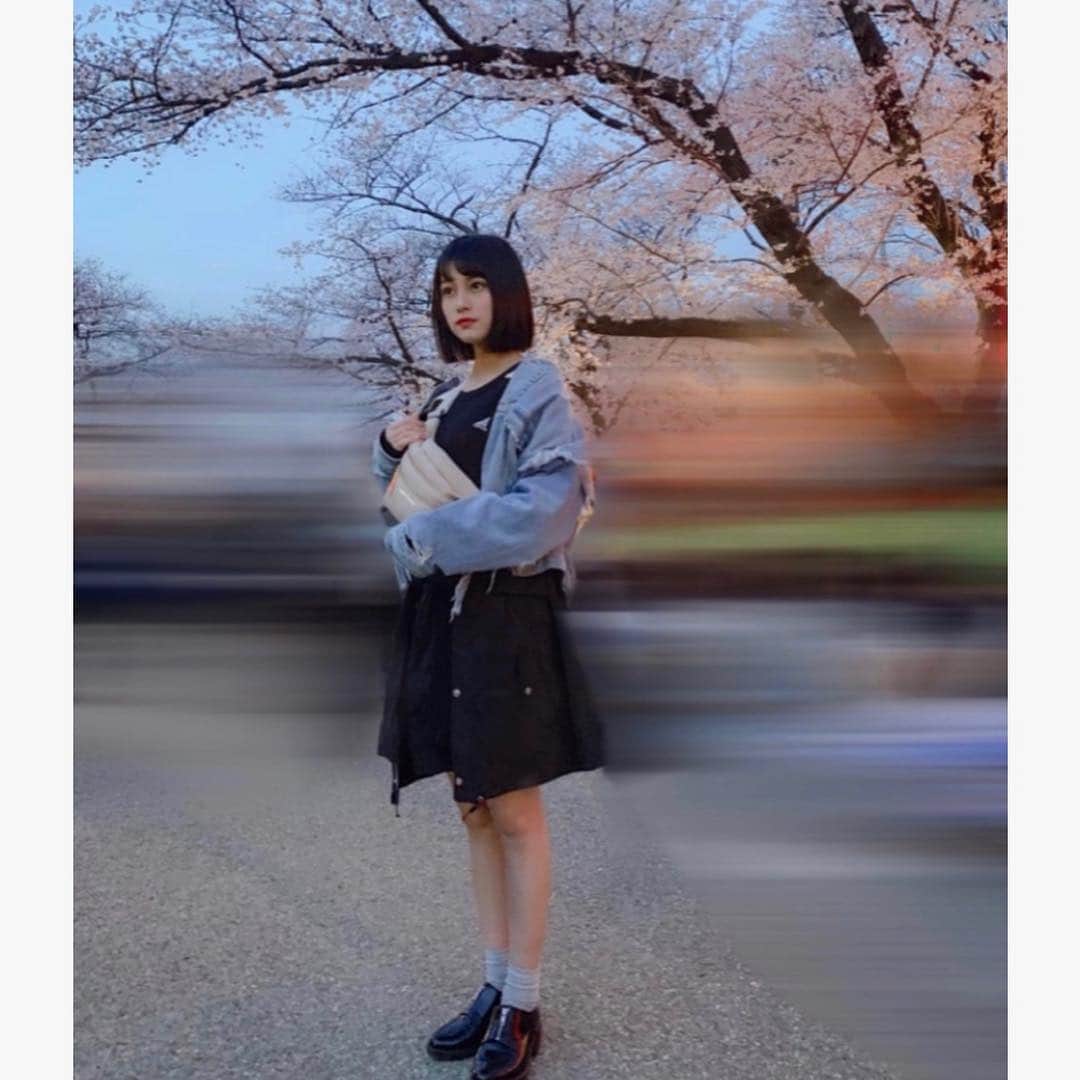 玉田志織さんのインスタグラム写真 - (玉田志織Instagram)「． #cherryblossom」3月28日 22時55分 - tamada_shiori_official