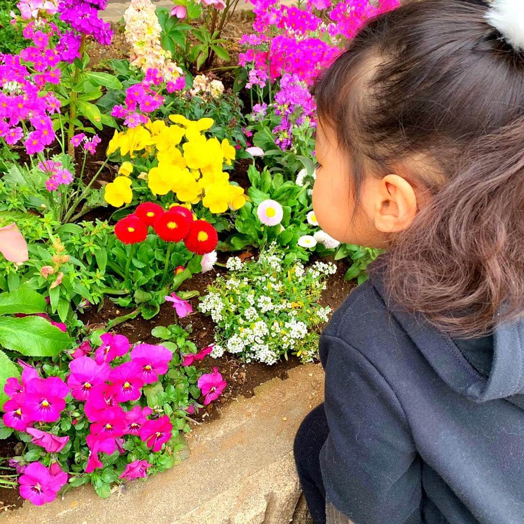 ゆん（並木優奈）さんのインスタグラム写真 - (ゆん（並木優奈）Instagram)「. . 最近お花を見つけると よく匂いをかいで 「いーにおい💕」 って言うんだけど この日の感想は 「くさっ！」でした笑 . 初めてお花の匂いを くさいって言った笑 . . . そんなことより ほっぺがたまらん❤️ . . . . . . #riona#flower」3月28日 22時58分 - yunaaaaa.x