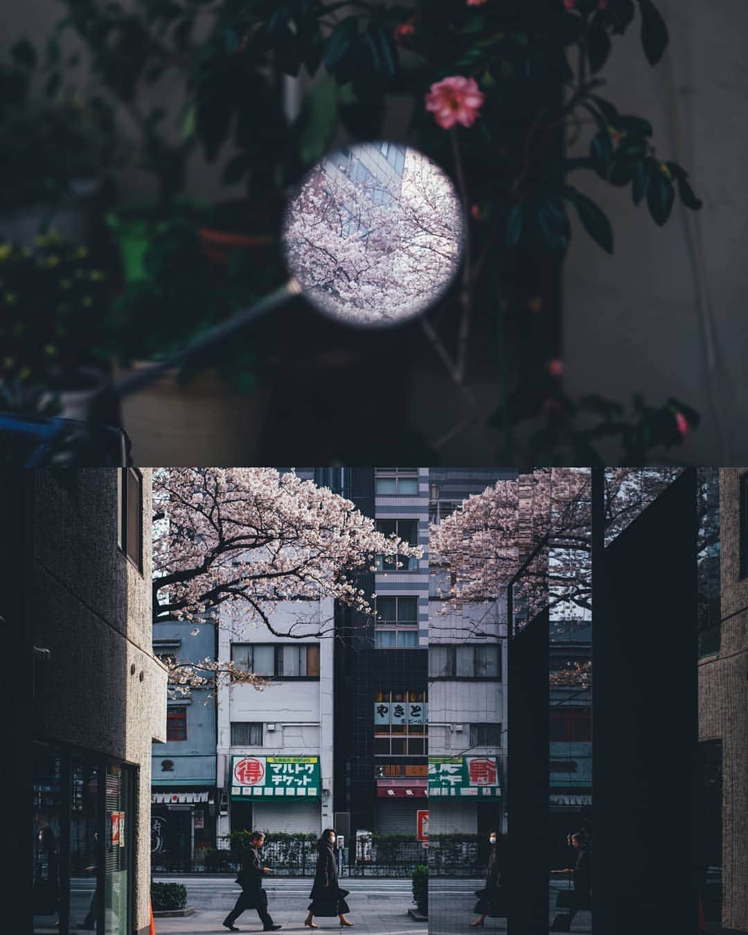 Takashi Yasuiさんのインスタグラム写真 - (Takashi YasuiInstagram)「Everyday life in Tokyo🌸」3月28日 22時59分 - _tuck4