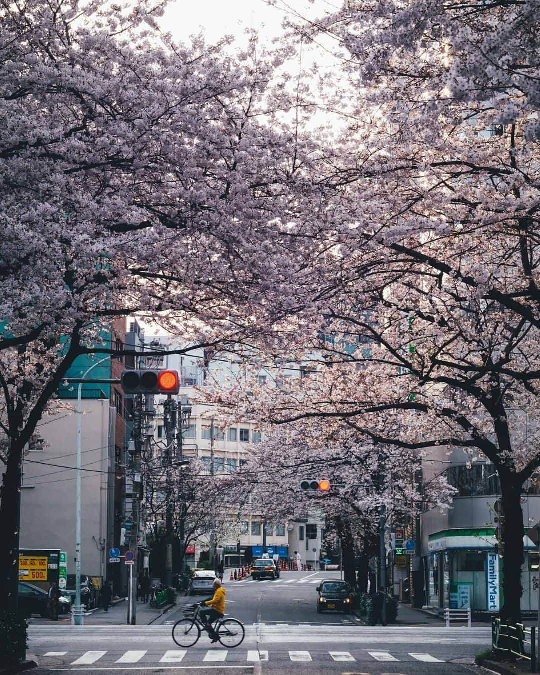 Takashi Yasuiさんのインスタグラム写真 - (Takashi YasuiInstagram)「Everyday life in Tokyo🌸」3月28日 22時59分 - _tuck4