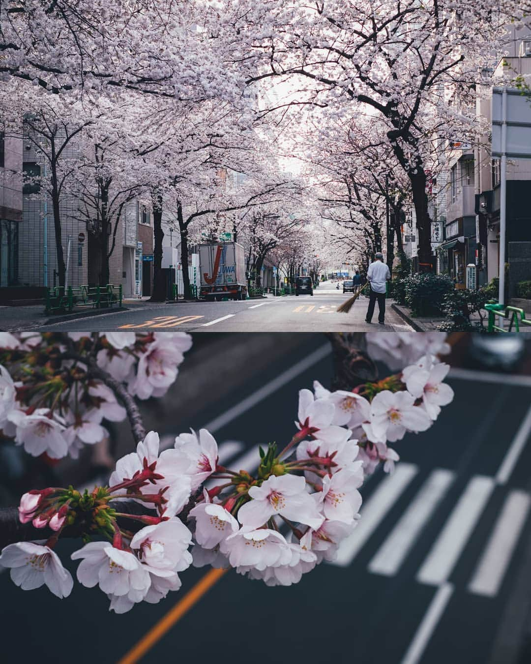 Takashi Yasuiさんのインスタグラム写真 - (Takashi YasuiInstagram)「Everyday life in Tokyo🌸」3月28日 22時59分 - _tuck4