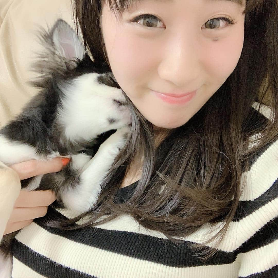 ぱちおまるさんのインスタグラム写真 - (ぱちおまるInstagram)「寝ちょこまる🐶 食べて糞して寝る🐶 健康優良児🦹‍♂️ #ちょこたん通信」3月28日 23時35分 - pachiomaru