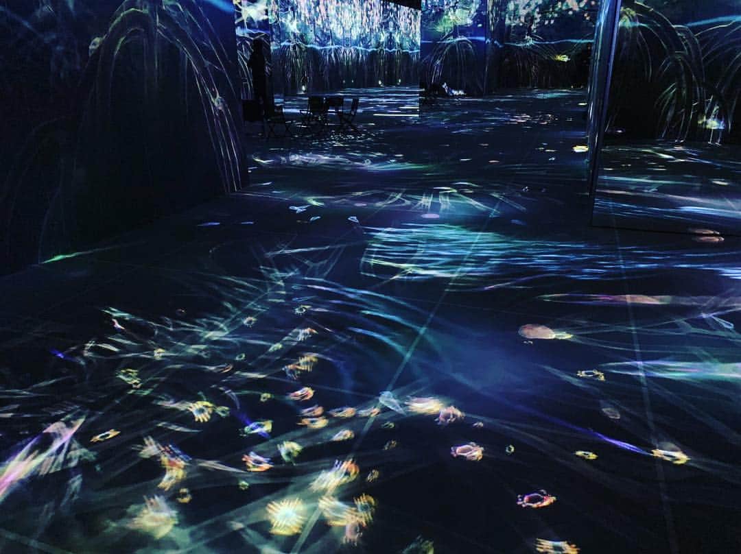 猪子寿之さんのインスタグラム写真 - (猪子寿之Instagram)「International Horticultural Exposition: #EXPO 2019 #Beijing  Botanic Garden  mangrove #invisibleworld  #expo2019 #teamlab  北京国際園芸博覧会  #北京万博 #植物館 やるよ！！！マングローブの森 インビジブルワールド #万博 #チームラボ」3月28日 23時57分 - inoko.teamlab