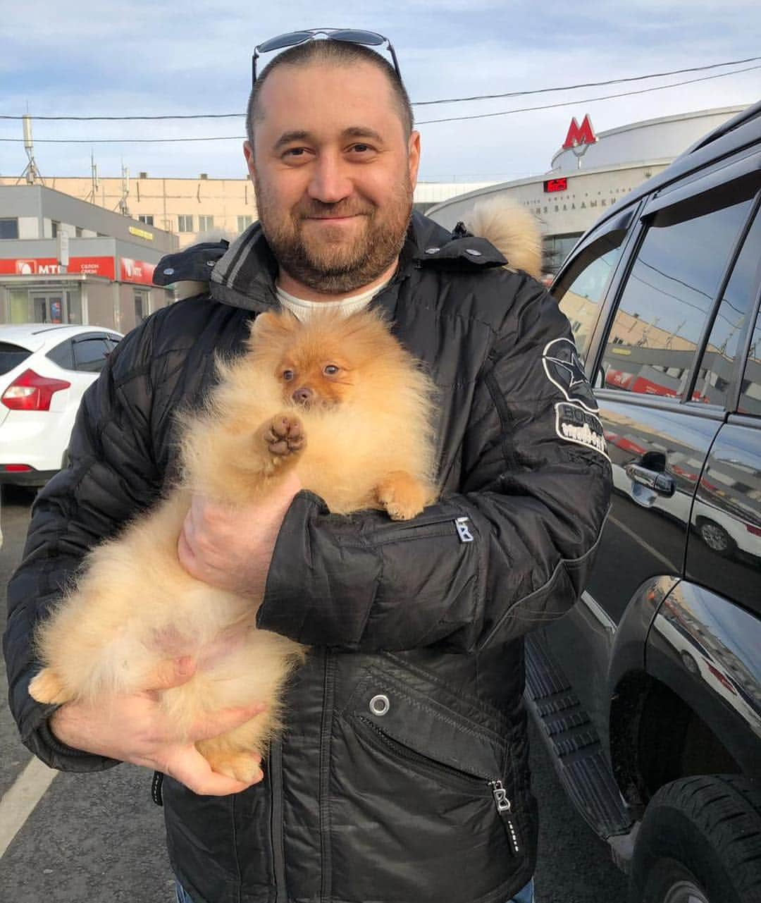 Puppy For Sale.さんのインスタグラム写真 - (Puppy For Sale.Instagram)「Завтра наш мальчик улетает в Германию #pompom #померанскийшпиц #померанец #шаиц #шпицмишка #шпицбу @artsimpatiya」3月29日 0時00分 - artsimpatiya