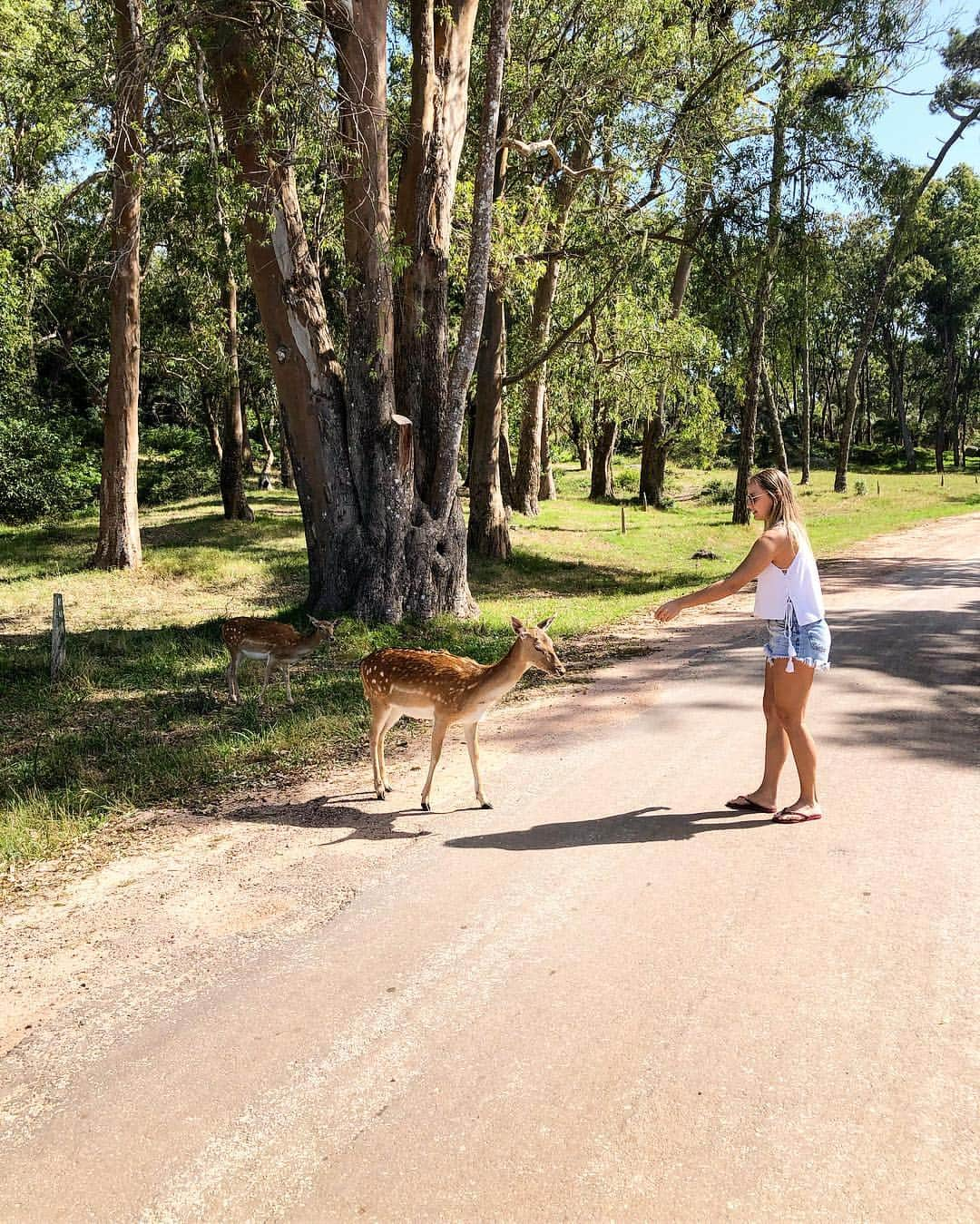 Jessica sayonara maierさんのインスタグラム写真 - (Jessica sayonara maierInstagram)「Tbt desse dia feliz ❤️」3月29日 0時11分 - sayonaramaier