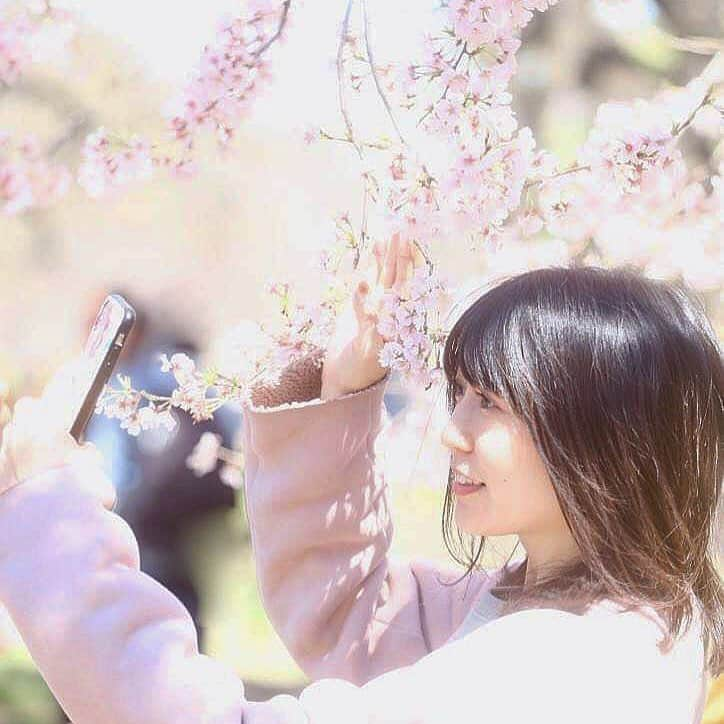 坪井安奈さんのインスタグラム写真 - (坪井安奈Instagram)「🌸イベントのお知らせ🌸 30日土曜日、京都・大覚寺のイベントで司会をやらせていただきます＾＾無料なのでぜひ！！！閉館後のお寺でのロマンチックな#ナイトイベント です🌟 . ウォータースクリーンプロジェクション「嵯峨の月光とさくら」 日程：2019年3月29日(金)、3月30日(土) 時間：18:00～20:00受付終了（閉門20:30） 場所：旧嵯峨御所 大本山 大覚寺（京都市右京区嵯峨大沢町4） 料金：無料 詳細：https://www.daikakuji.or.jp/event_season_spring/ . ゲストには、#深川麻衣 さん（29日）、#中村隼人 さん（30日）、#稲葉友 さん（30日）、#三根梓 さん（30日）も登場予定です！ . 週末のイベントにぜひ💕 photo by @mori2hk . #大覚寺 #京都 #京都観光  #京都旅行  #京都巡り  #京都散策 #kyoto #sakurakyoto #waterscreenprojection  #kyototravel  #kyototemple  #sakura」3月29日 0時16分 - tsuboianna