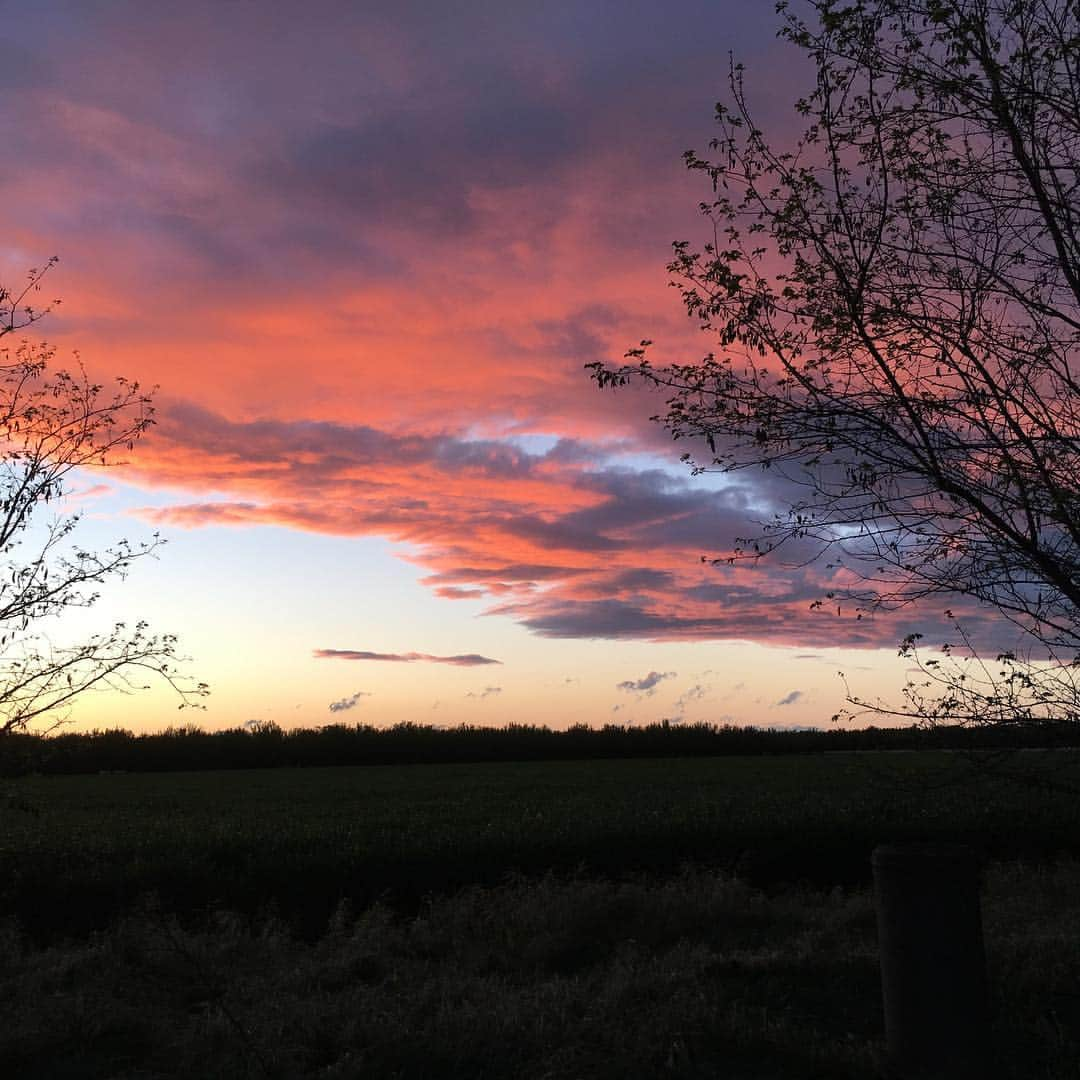 ドット=マリー・ジョーンズさんのインスタグラム写真 - (ドット=マリー・ジョーンズInstagram)「NOR CAL SUNSETS!! ❤️❤️❤️」3月29日 0時29分 - dotmariejones