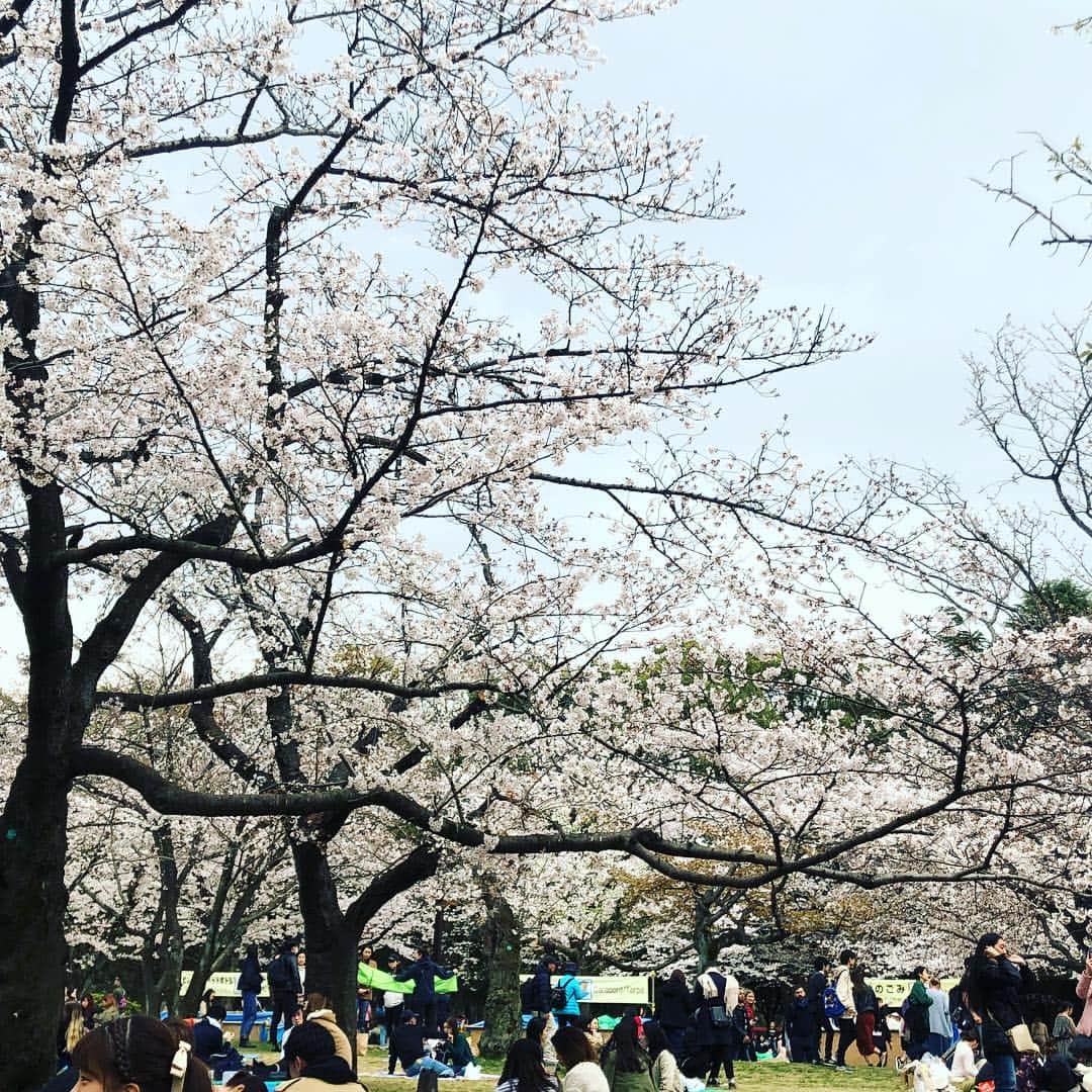 江藤あやさんのインスタグラム写真 - (江藤あやInstagram)「代々木公園でお花見🌸 花曇りもいいもんね。とても楽しい一日でした。」3月29日 1時36分 - ayayakko19