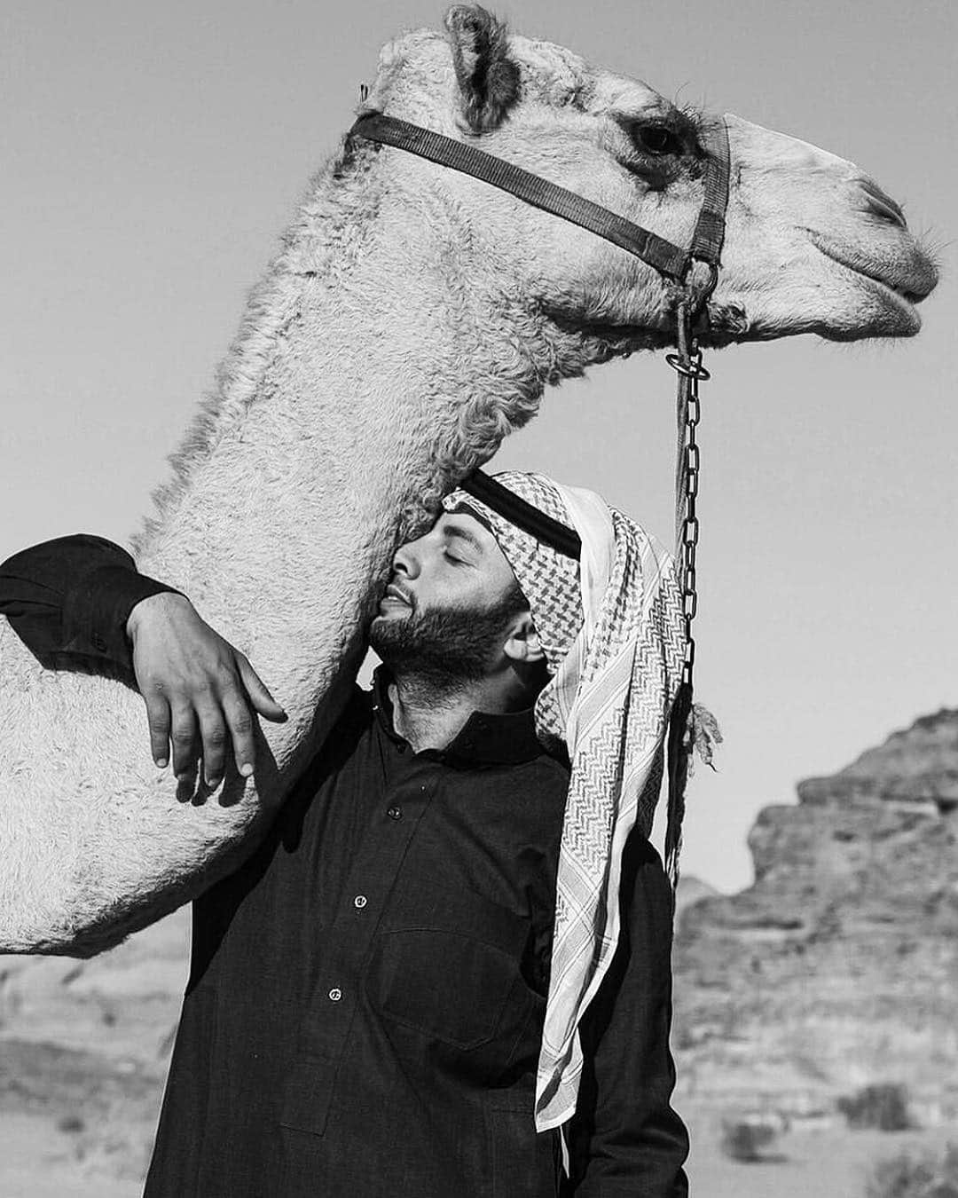 Mustafa Sevenさんのインスタグラム写真 - (Mustafa SevenInstagram)「Konuyu deve sevgisine nasıl getiririz :)) #Jordan #StoryOfEarth #VisitJordan @visitjordan」3月29日 1時59分 - mustafaseven