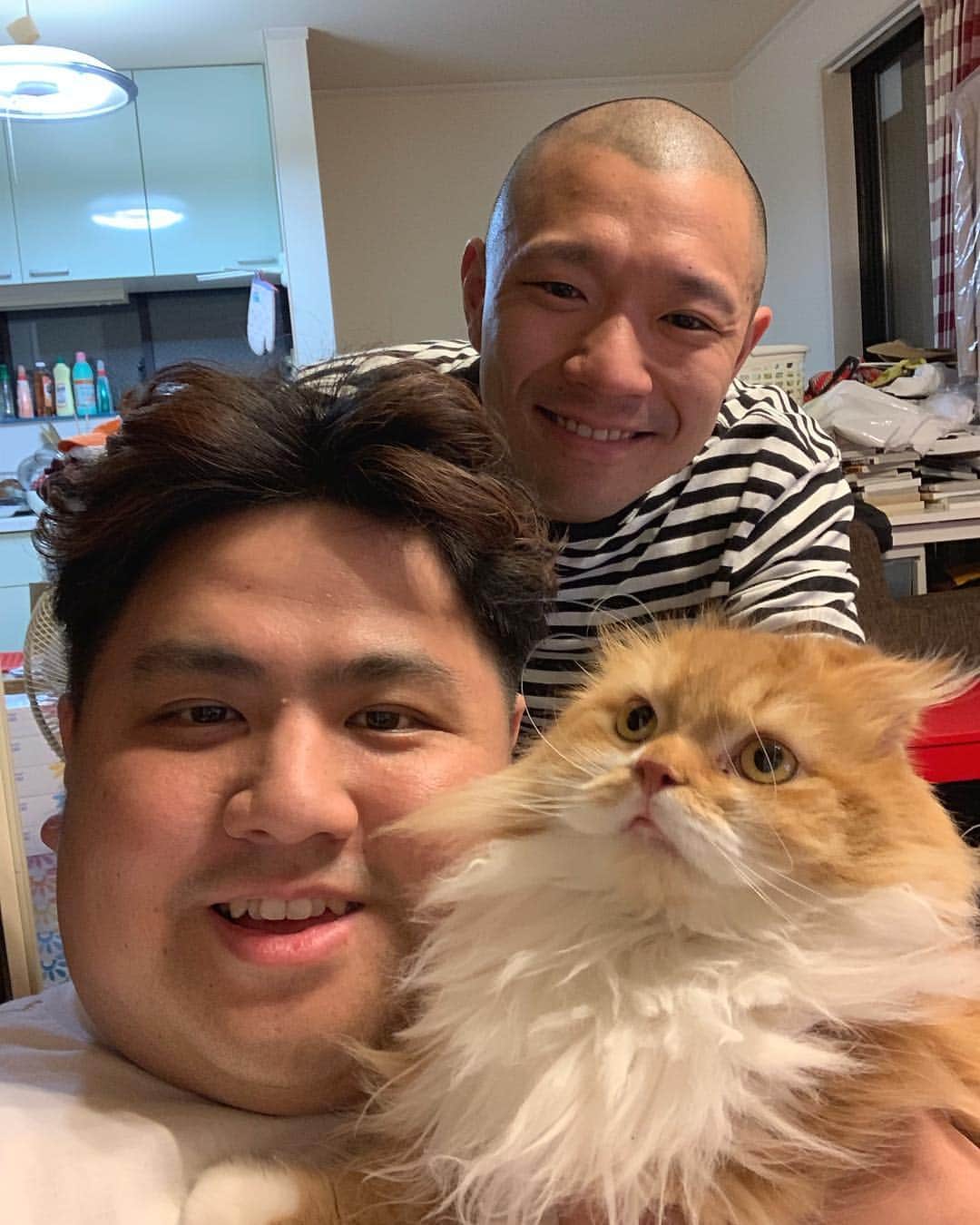 池田真一のインスタグラム：「インスタライブありがとう！ 次回はチャコべぇも一緒に！ 単独ライブ見に来てくれー🙏🏻🙏🏻 ダブルアート単独ライブ 『ダブルアートの笑顔ふやし』 3月30日20時45分〜 よしもと漫才劇場 メッセージお待ちしております！！！！」