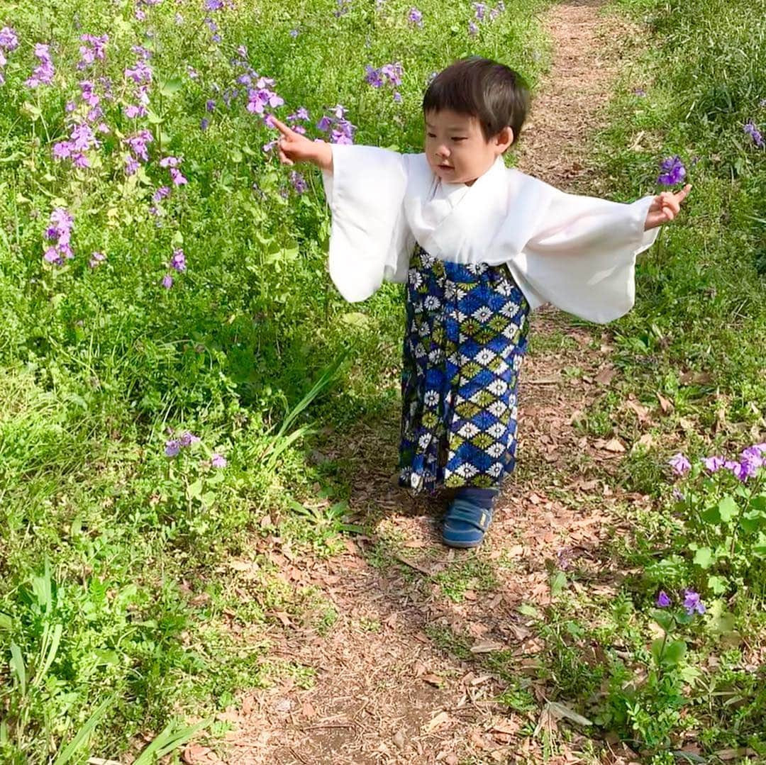 桜井未来さんのインスタグラム写真 - (桜井未来Instagram)「@nonononononon03 ちゃんとお花見🌸行って来ました😊💓 お堀の周りは満開だけど凄い人なので、北の丸公園へ🌲  @utamama.kimono さんの袴を持って行って、着せるのも簡単なので、洋服の上からサクッと着せてみました😂💓 撮影の前にベビーカーに自分で顔ぶつけて目の上切れて、腫れちゃって痛そうだけど😂（笑） 本人はすぐに痛いの忘れてはしゃいでいました😂💓（笑） ・ ・ ・  #花見 #お花見 #桜 #袴 #和服 #着物 #sakura #kimono #北の丸公園  #ママ #男の子ママ #子育て #成長記録 #baby #ママ友募集 #赤ちゃんのいる生活 #ママサークル #ママイベント #ママ会 #都内ママ #ベビスタグラム #mamagirl #ベビフル #コドモダカラ #コドモノ #ママリ #親バカ部 #新米ママ東京部」3月29日 11時26分 - miki.sakurai0214