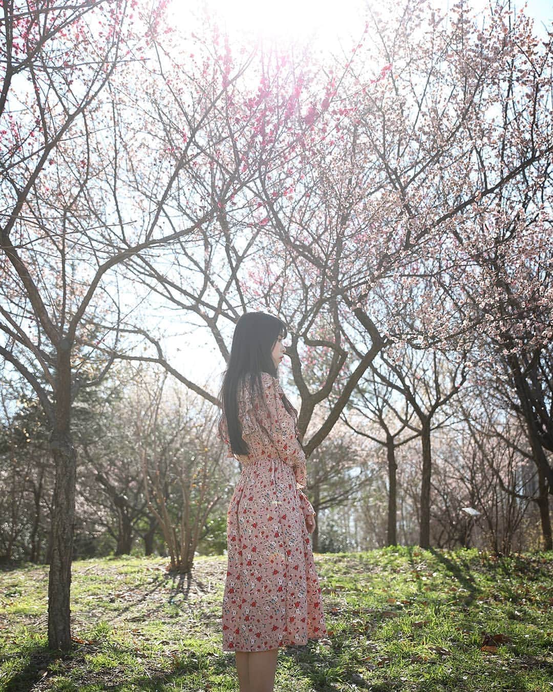 Photographer_善甫(선보)さんのインスタグラム写真 - (Photographer_善甫(선보)Instagram)「April Come She will  4월에는 정말 그녀가 올까?!」3月29日 11時19分 - sunbostyle