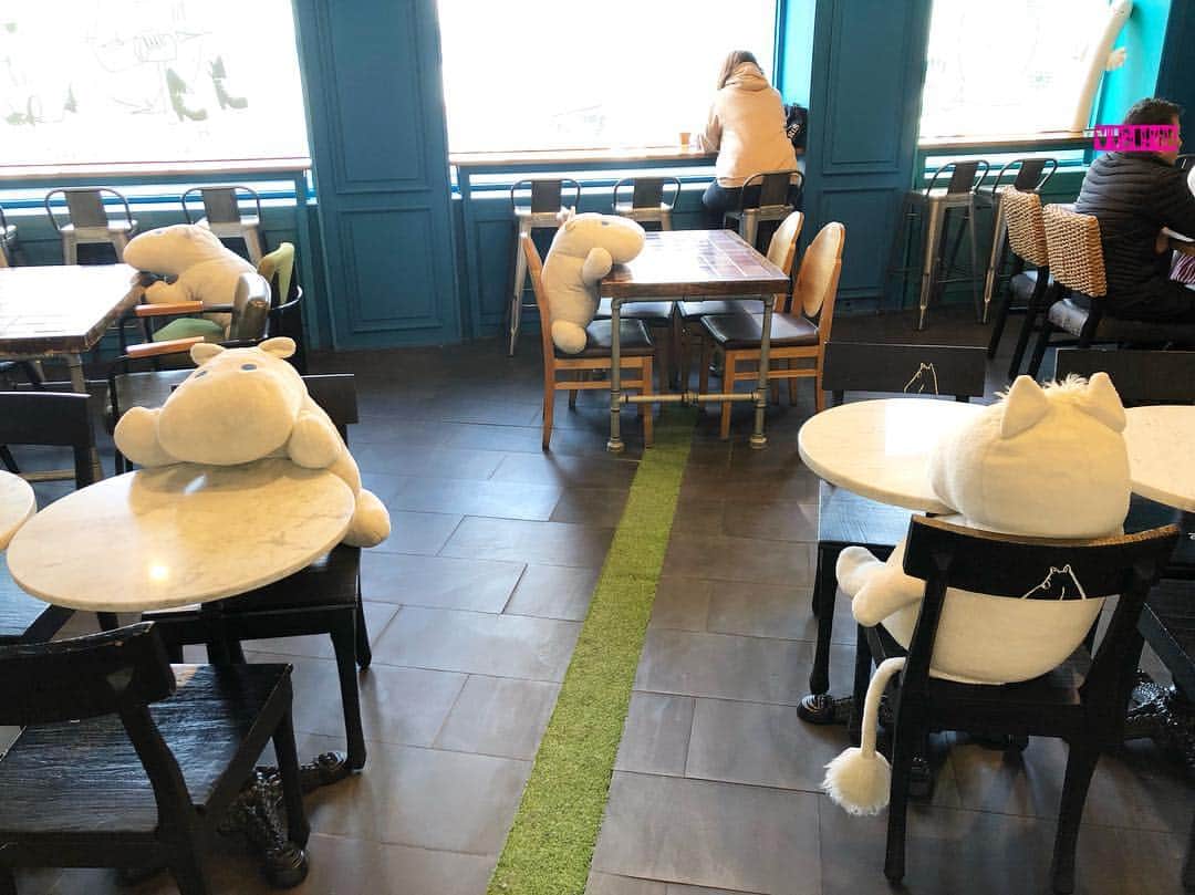 杉本なつみのインスタグラム