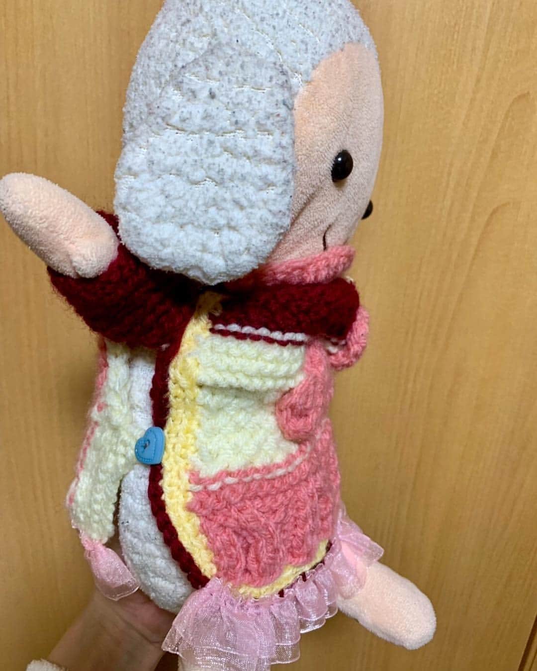 MARIA-Eさんのインスタグラム写真 - (MARIA-EInstagram)「. ‪袖があるお洋服を持っていないとのことで… 腕のサイズを計ってピッタリの袖を付けてみたの❣️‬ . ‪気分に合わせて前後ろどちらでも 着れるようにしてみたり 脱ぎ着しやすいように横はボタンにしてみたり…‬ . ‪作っている間、考える時間も楽しくて 新幹線の移動時間はずっと編んでた😂 . あー可愛い♡‬ . #どこからみても可愛い ‪#めーこ‬ #タートルネックっぽくしたかったけど #ちょっと失敗 #首が詰まってしまった (笑) #ごめんねめーこ」3月29日 11時29分 - maria.eeee
