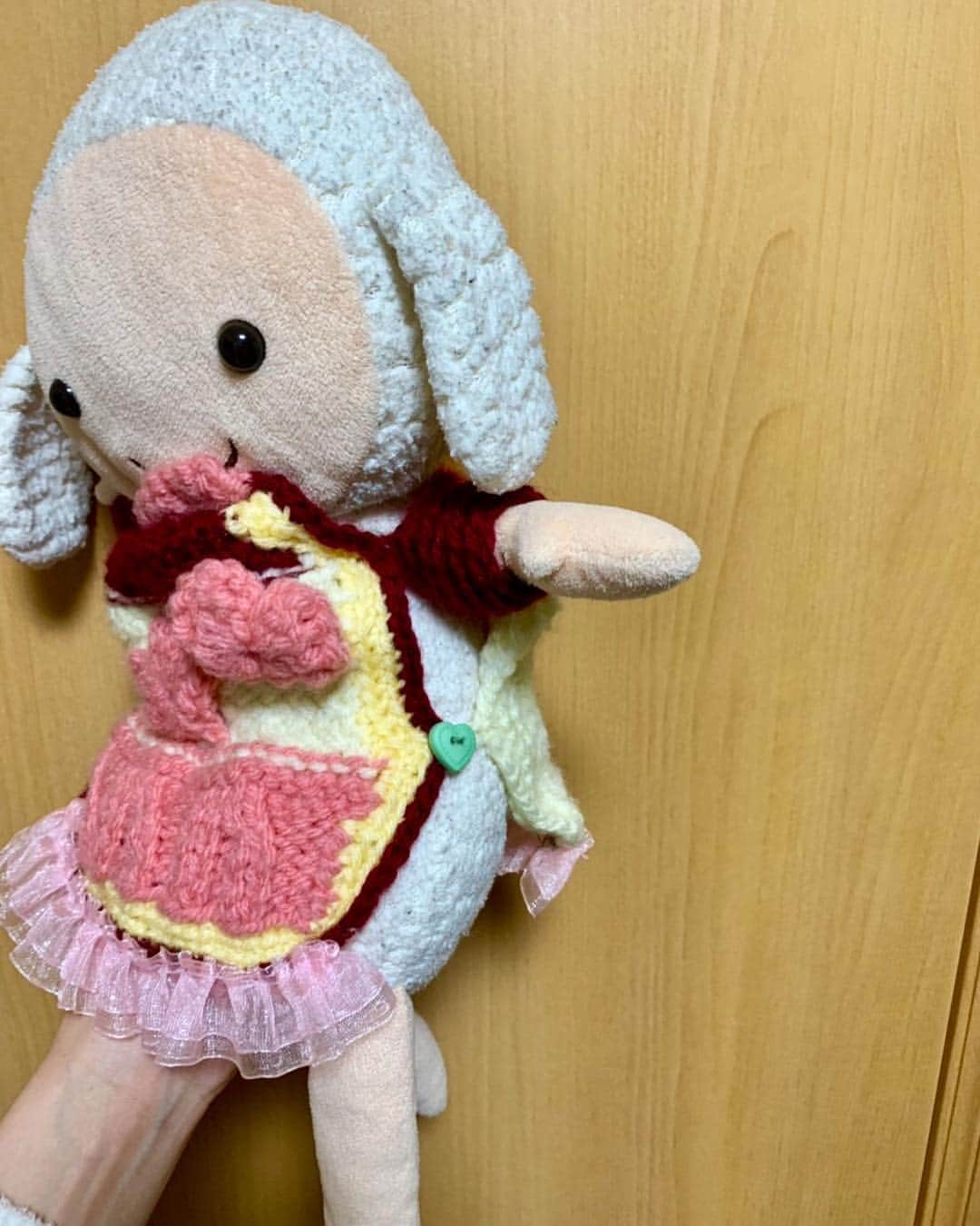 MARIA-Eさんのインスタグラム写真 - (MARIA-EInstagram)「. ‪袖があるお洋服を持っていないとのことで… 腕のサイズを計ってピッタリの袖を付けてみたの❣️‬ . ‪気分に合わせて前後ろどちらでも 着れるようにしてみたり 脱ぎ着しやすいように横はボタンにしてみたり…‬ . ‪作っている間、考える時間も楽しくて 新幹線の移動時間はずっと編んでた😂 . あー可愛い♡‬ . #どこからみても可愛い ‪#めーこ‬ #タートルネックっぽくしたかったけど #ちょっと失敗 #首が詰まってしまった (笑) #ごめんねめーこ」3月29日 11時29分 - maria.eeee