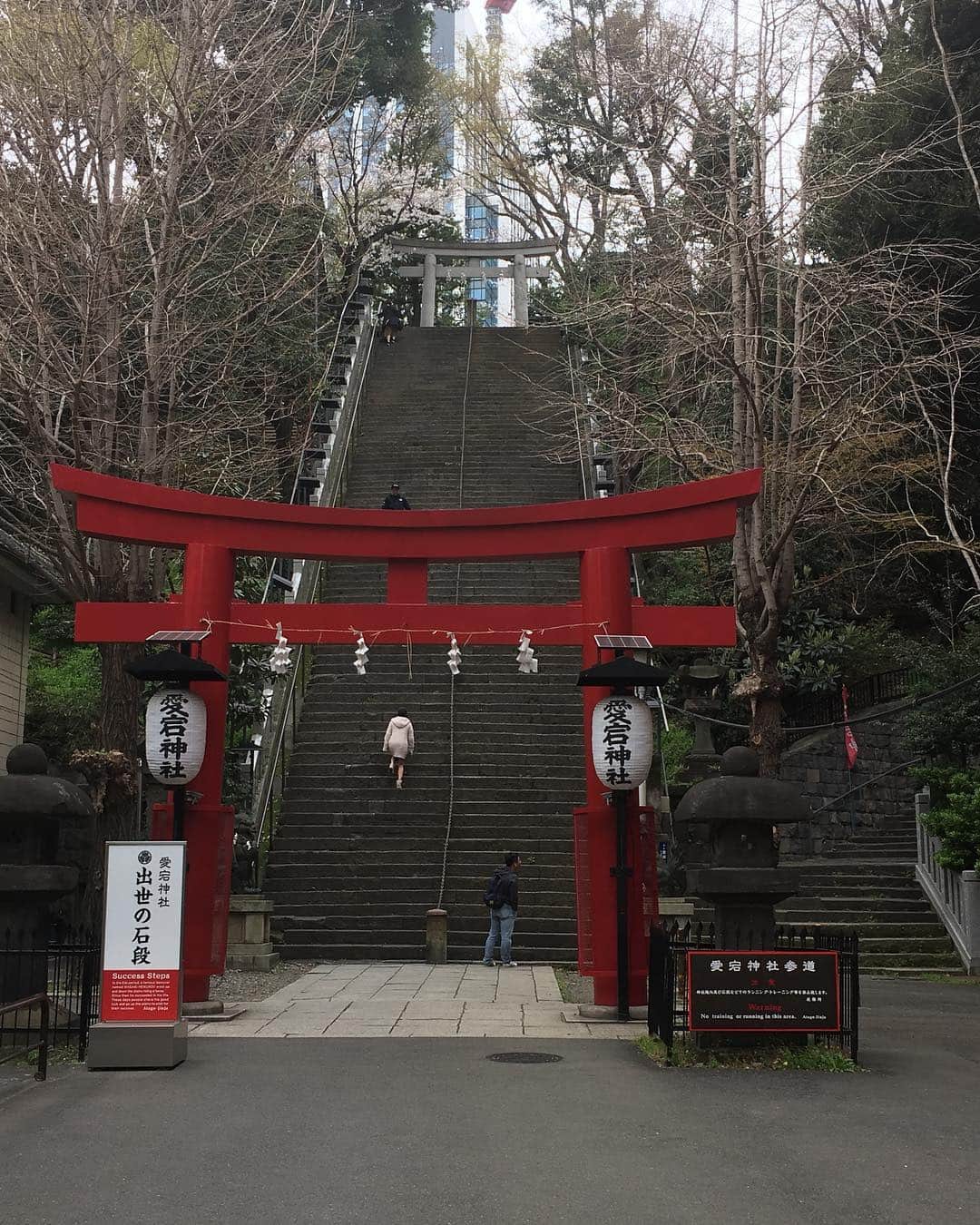 佐藤太一郎さんのインスタグラム写真 - (佐藤太一郎Instagram)「やなぎ師匠と吉田さんと一緒に、愛宕神社の出世の階段を登ってきました。 新喜劇ワールドツアーの成功祈願。 東京は桜満開でーす🌸」3月29日 11時38分 - satotaichiro_shinkigeki