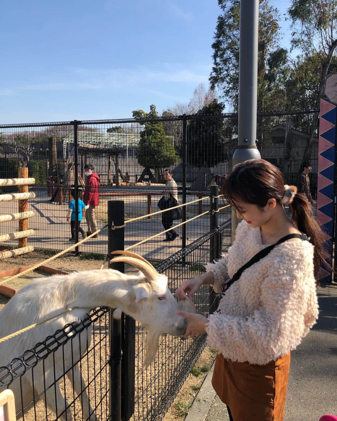 小森美果さんのインスタグラム写真 - (小森美果Instagram)「やぎさん☺︎多摩動物公園😋こないだ行った時の🔆」3月29日 11時39分 - mika.165