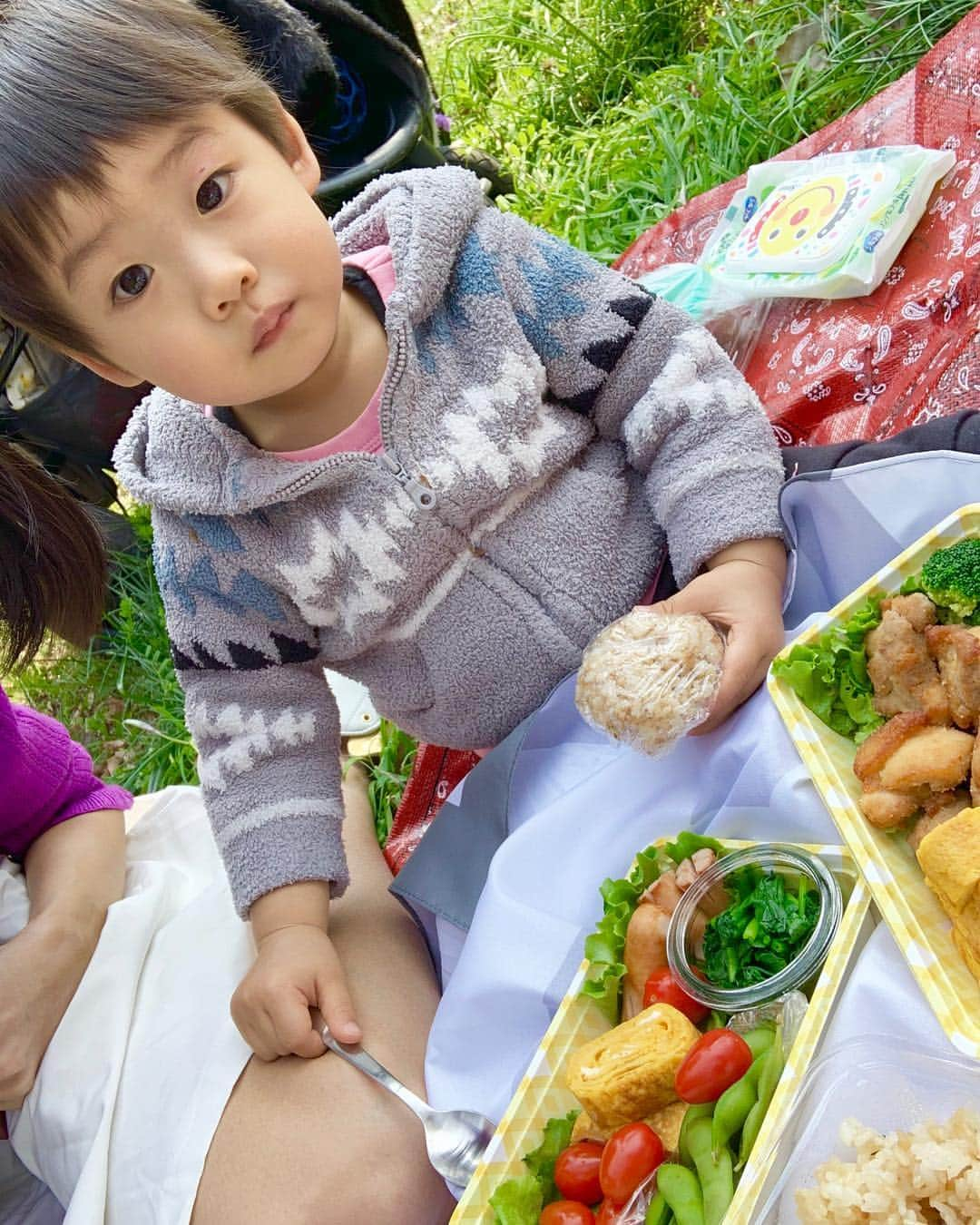 桜井未来さんのインスタグラム写真 - (桜井未来Instagram)「一通りご飯を食べたら、デザートは大好きな苺🍓😘🍓 フラフラ遊んでいる息子に、苺食べる人〜！と声をかけたら、はーい！とソッコー戻って来ました😂（笑）  迷子になったら、とりあえず苺🍓食べる人〜！と叫んでみようと思います😂🤣ww ・ ・ ・  #花見 #お花見 #桜 #袴 #和服 #着物 #sakura #kimono #北の丸公園  #ママ #男の子ママ #子育て #成長記録 #baby #ママ友募集 #赤ちゃんのいる生活 #ママサークル #ママイベント #ママ会 #都内ママ #ベビスタグラム #mamagirl #ベビフル #コドモダカラ #コドモノ #ママリ #親バカ部 #新米ママ東京部」3月29日 11時45分 - miki.sakurai0214