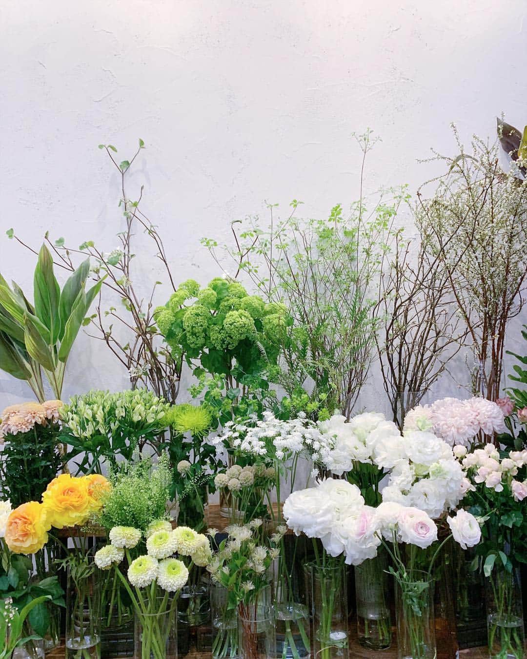 花盛友里さんのインスタグラム写真 - (花盛友里Instagram)「可愛いお花やさんでロケ おかわ」3月29日 11時54分 - yurihanamori